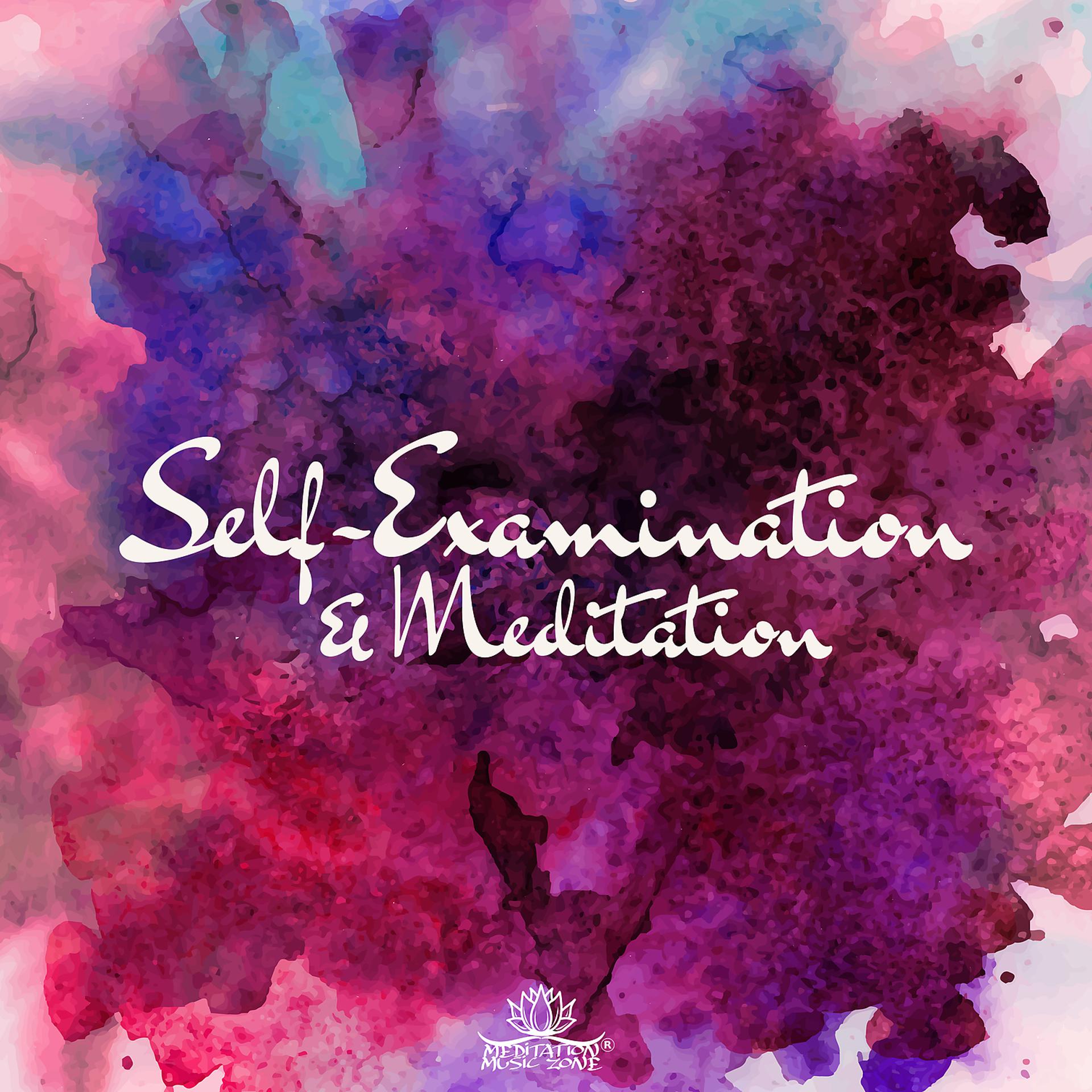 Постер альбома Self-Examination & Meditation: Mindful Sounds for Deep Thoughts