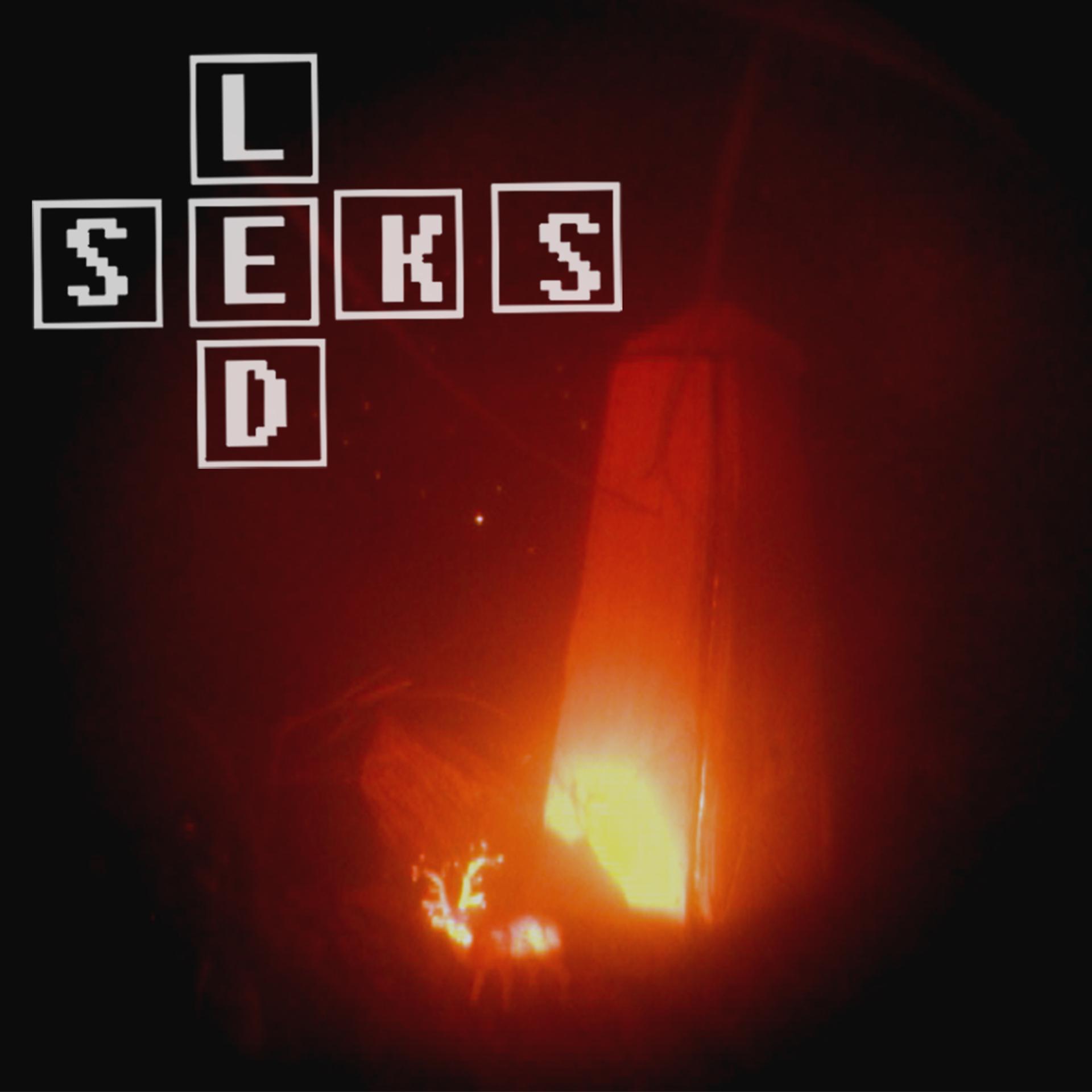 Постер альбома Seks led