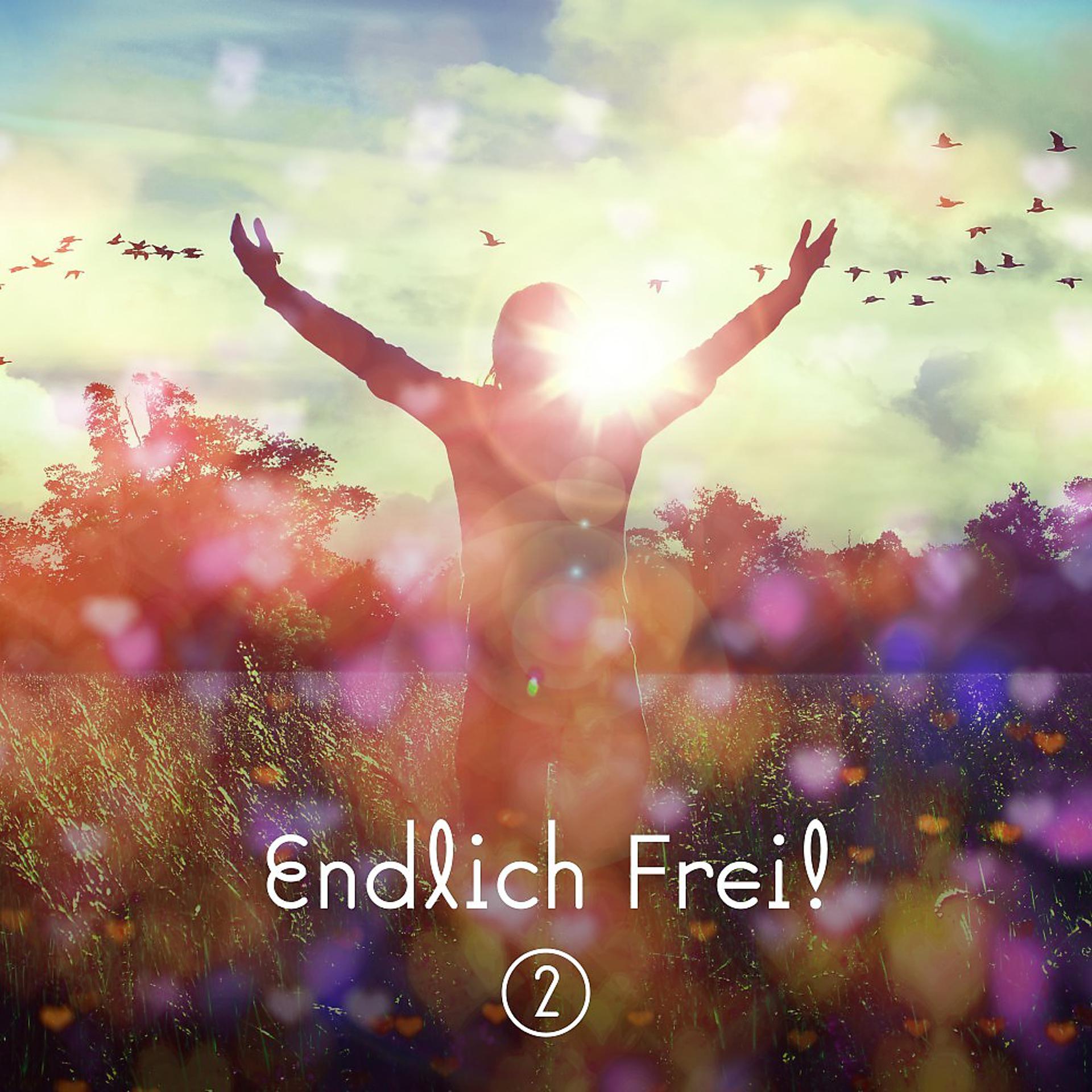 Постер альбома Endlich Frei! 2: Elektronische Freifühlmusik