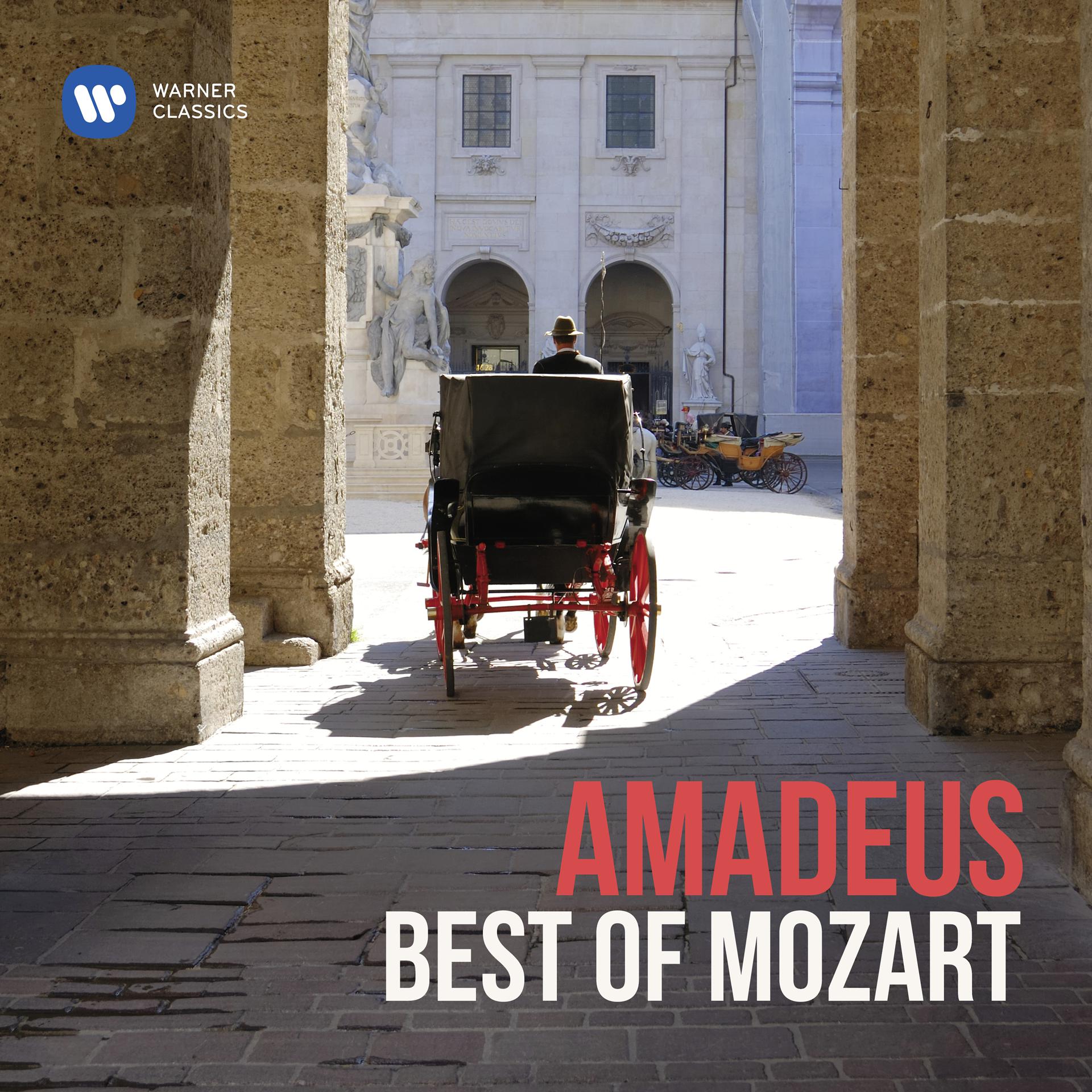 Постер альбома Amadeus - Best of Mozart