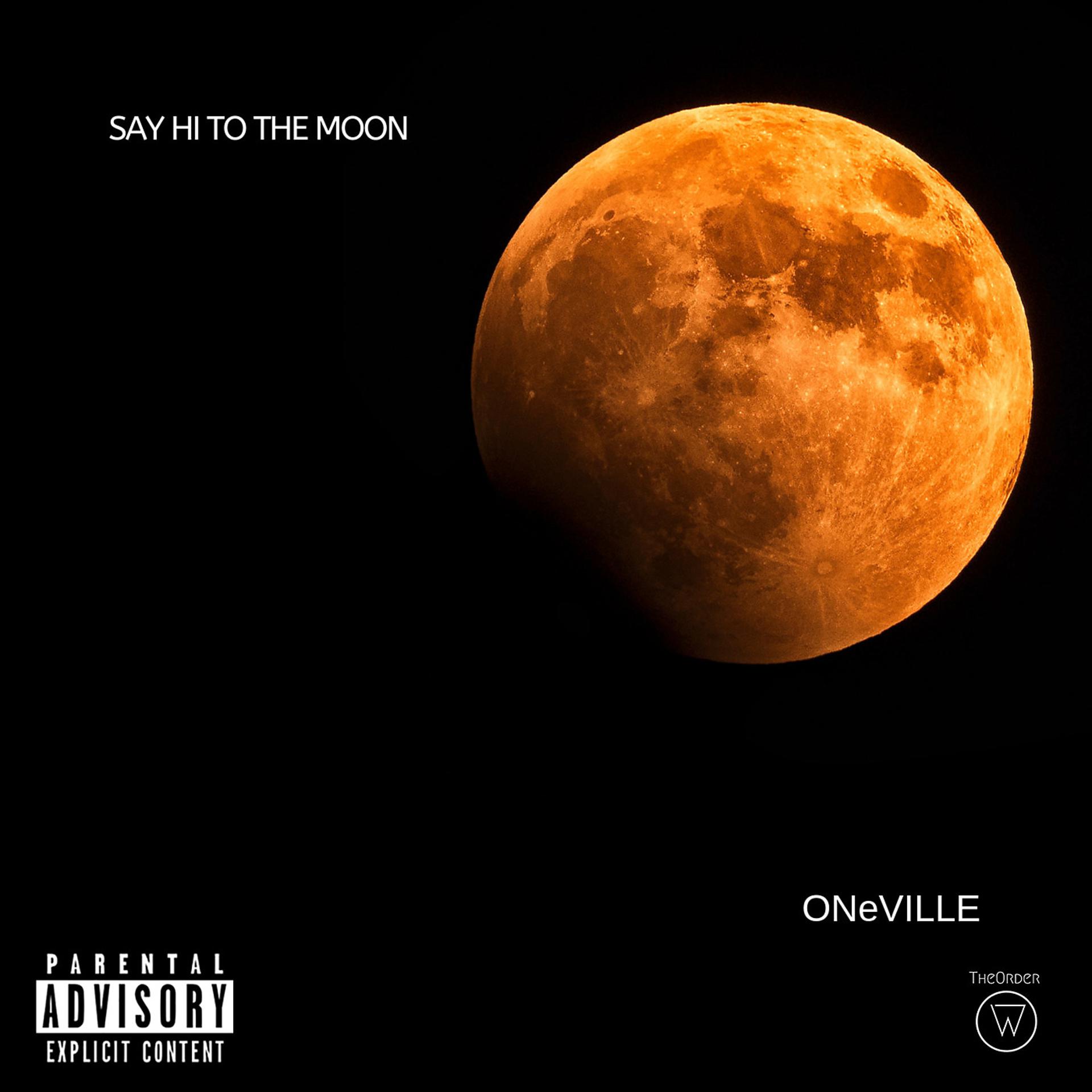 Постер альбома Say Hi to the Moon