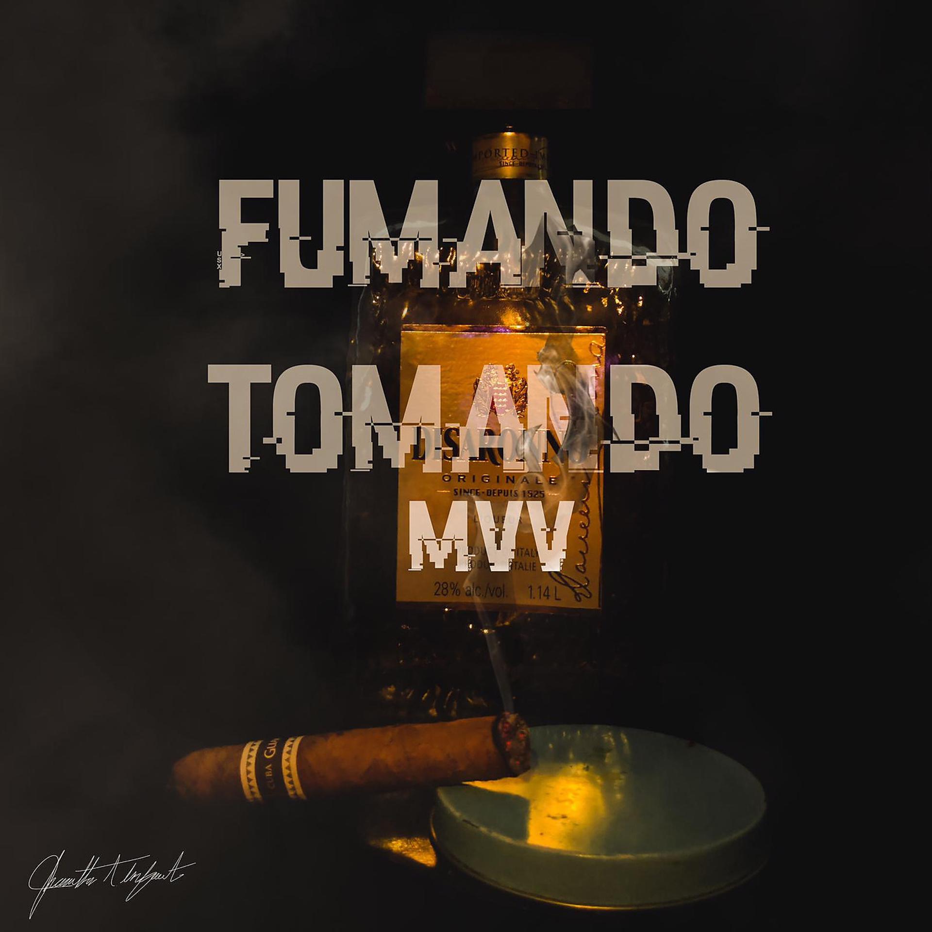 Постер альбома Fumando Tomando