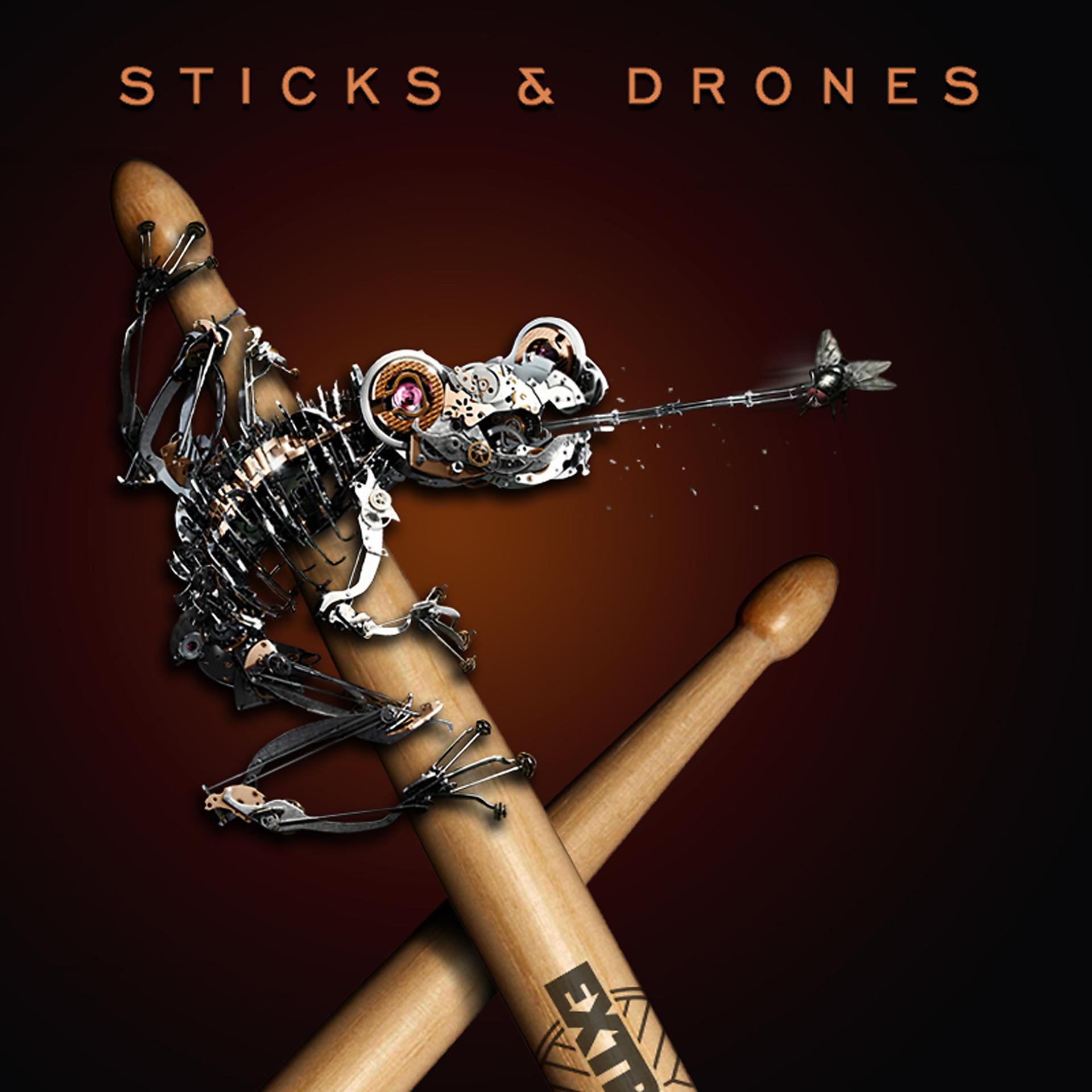 Постер альбома Sticks & Drones