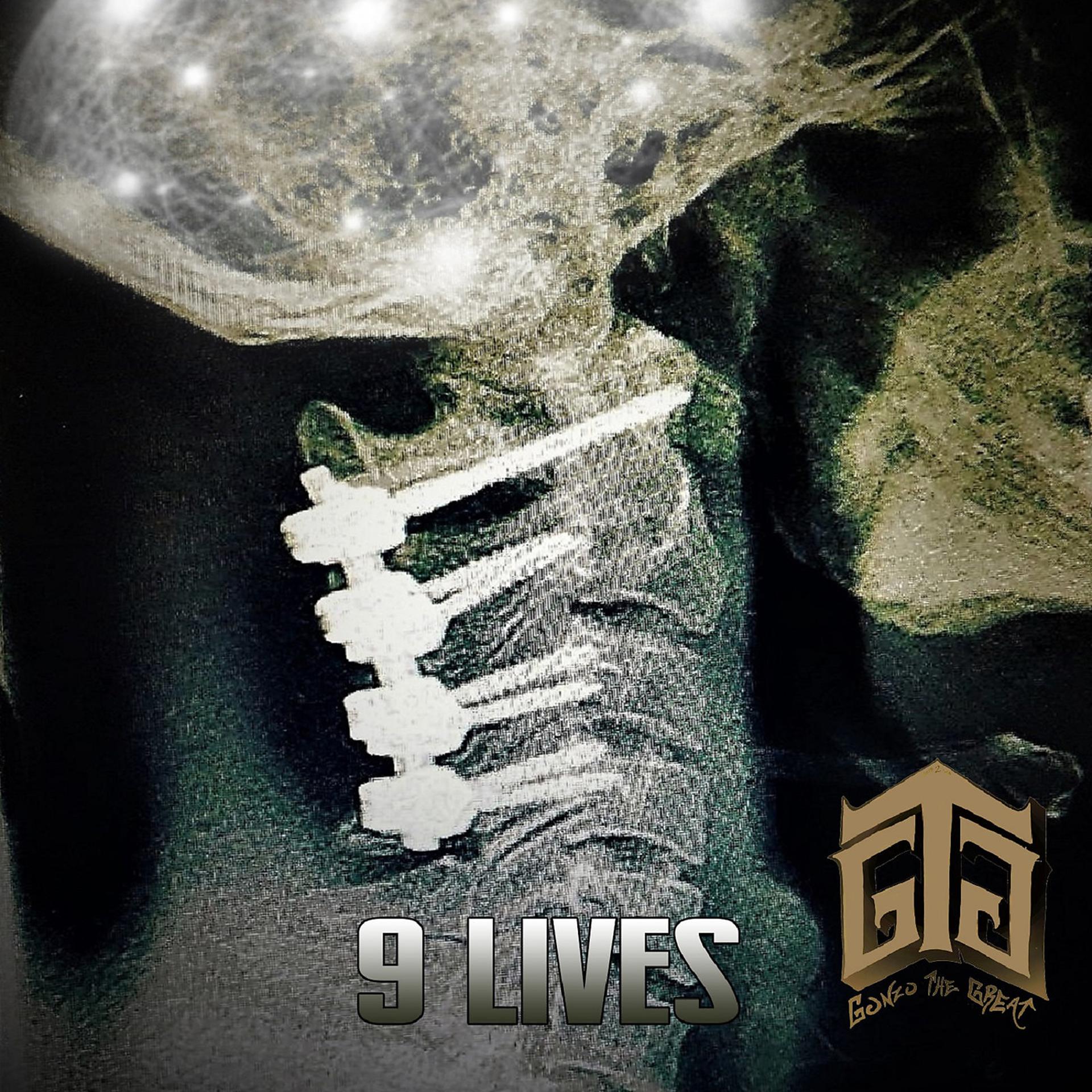 Постер альбома 9 Lives