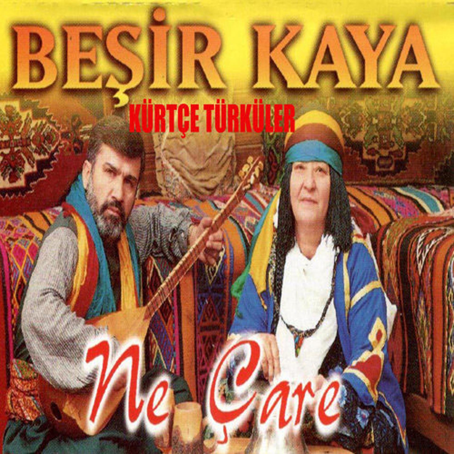 Постер альбома Kürtçe Türküler Ne Çare