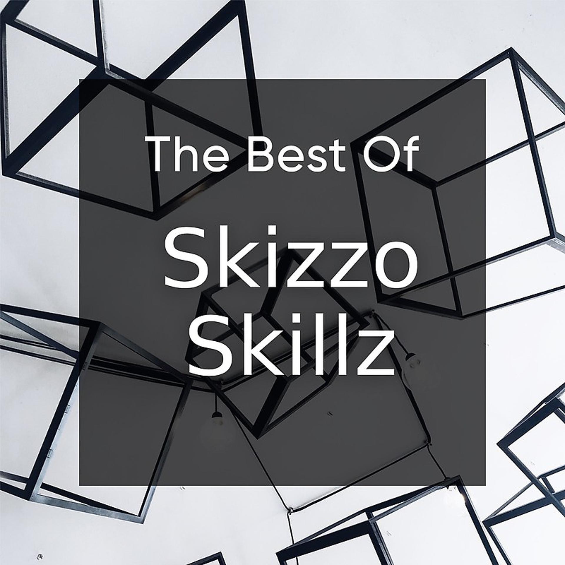Постер альбома The Best of Skizzo Skillz