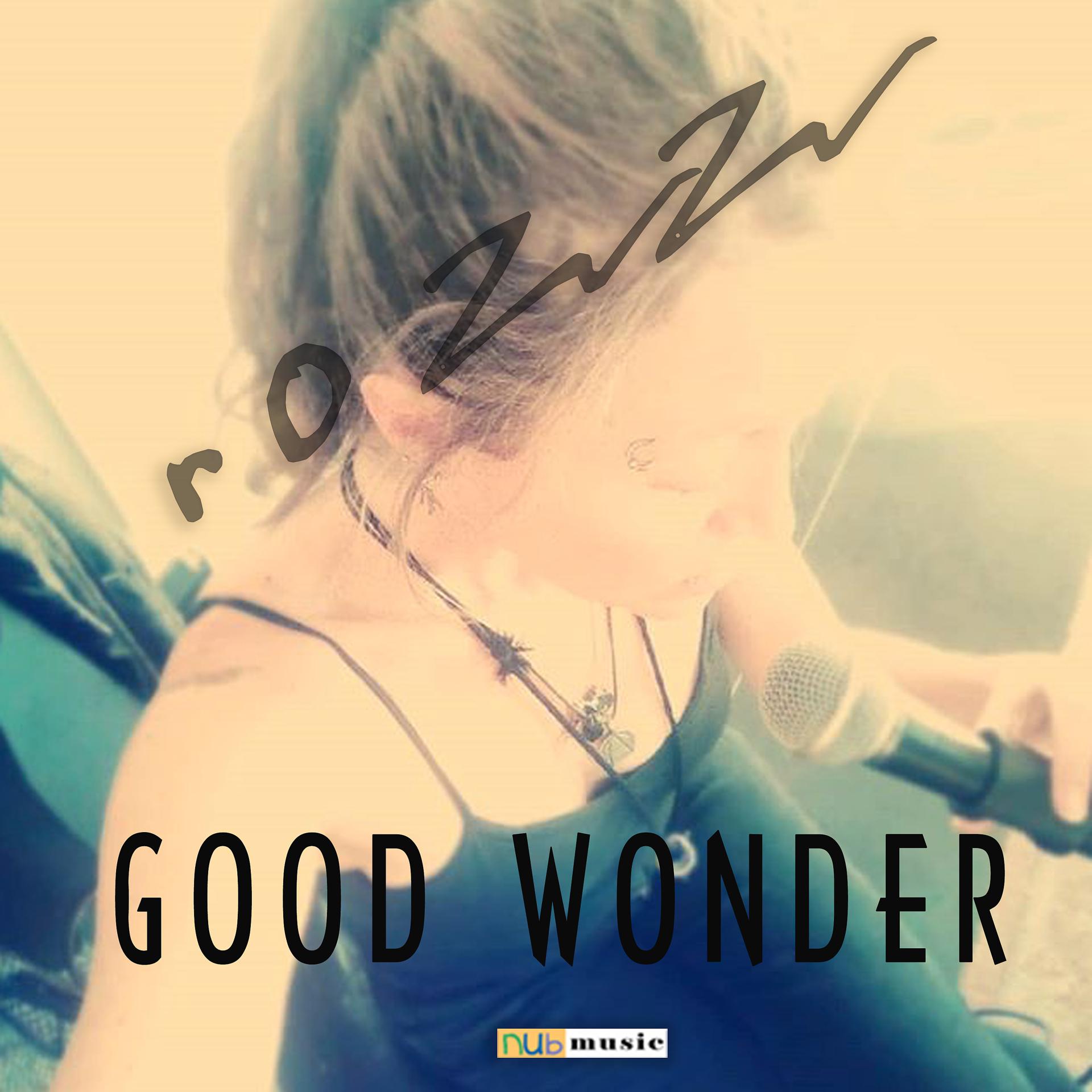 Постер альбома Good Wonder