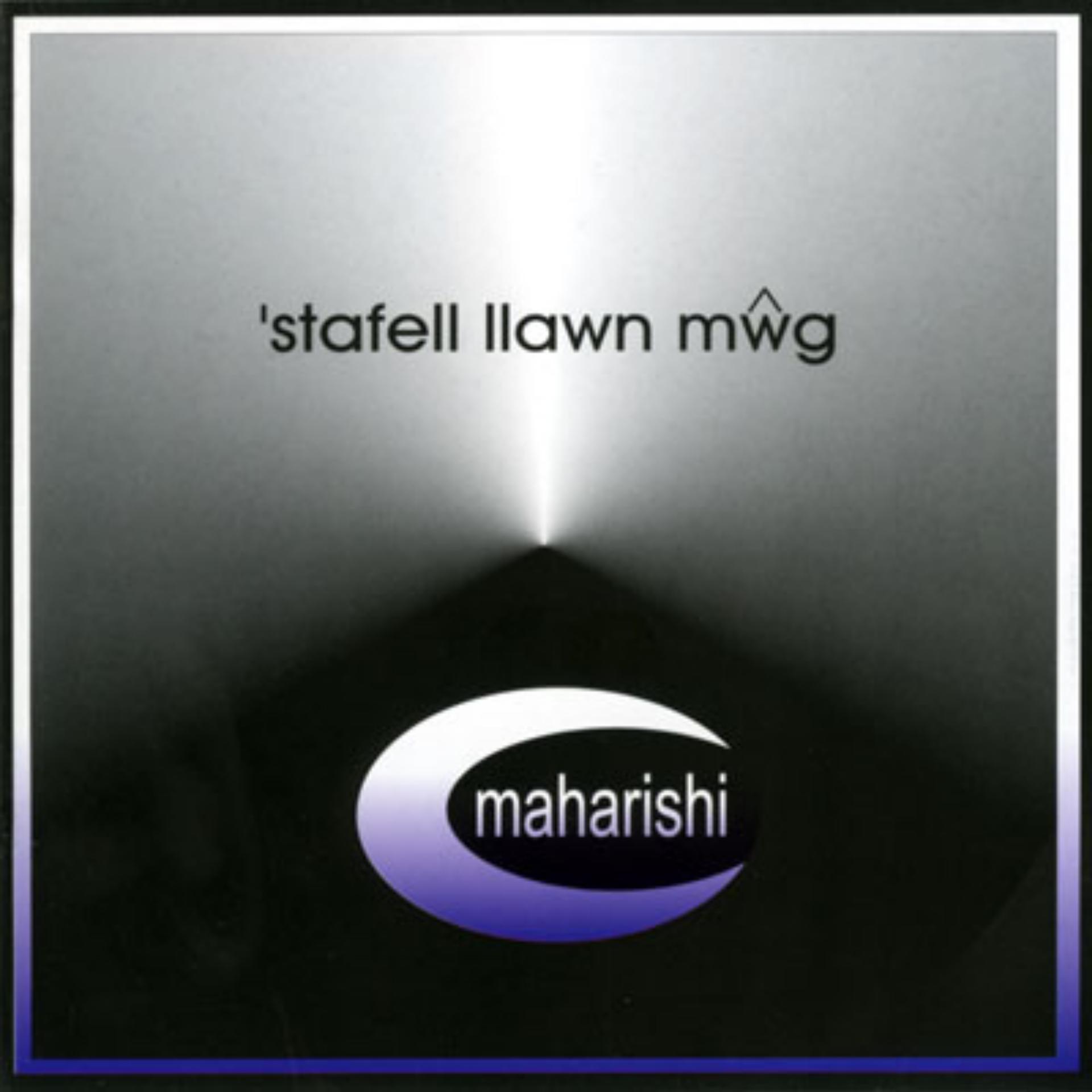 Постер альбома 'Stafell Llawn Mŵg