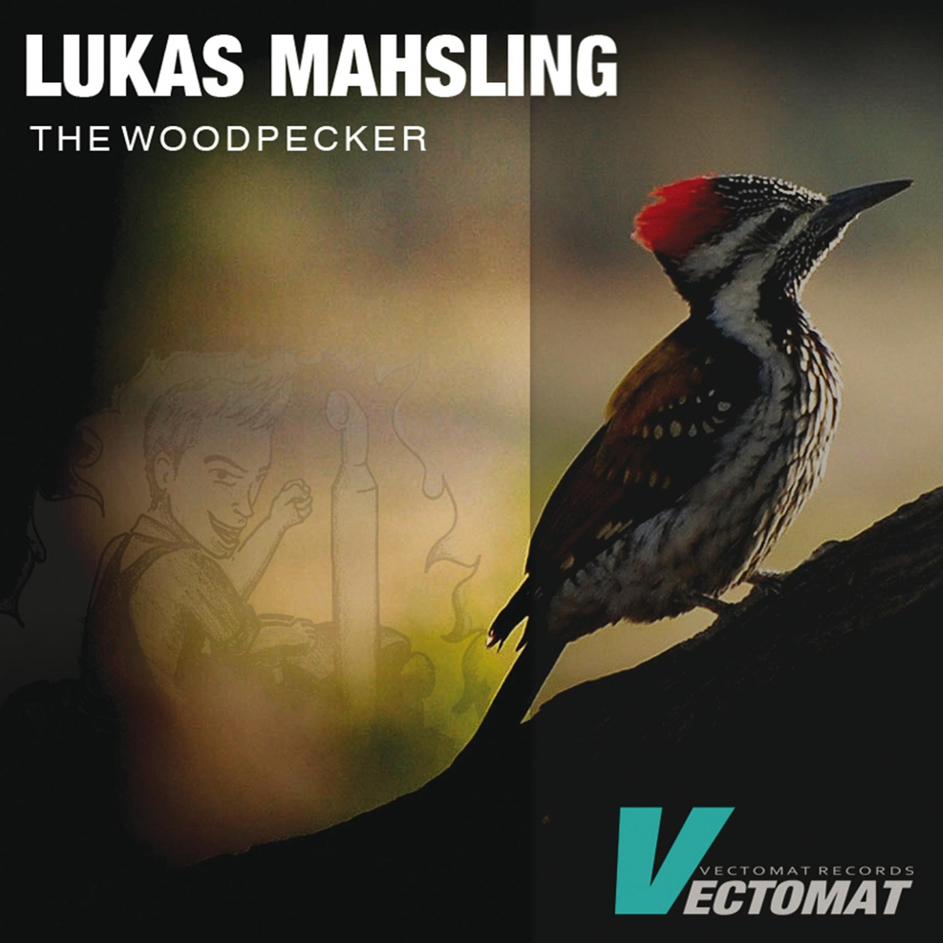 Постер альбома The Woodpecker