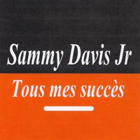 Постер альбома Tous mes succès - Sammy Davis Jr.