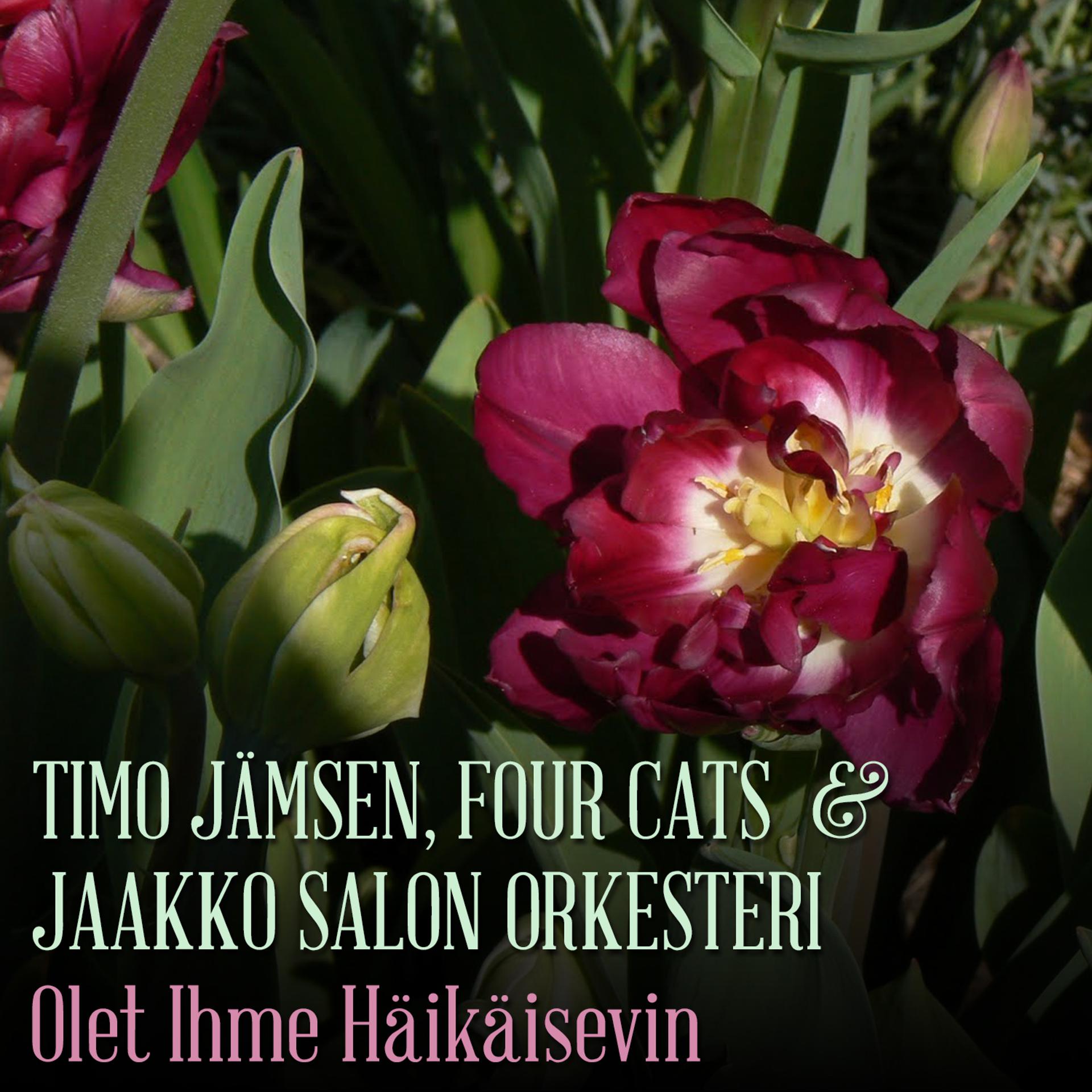 Постер альбома Olet Ihme Häikäisevin
