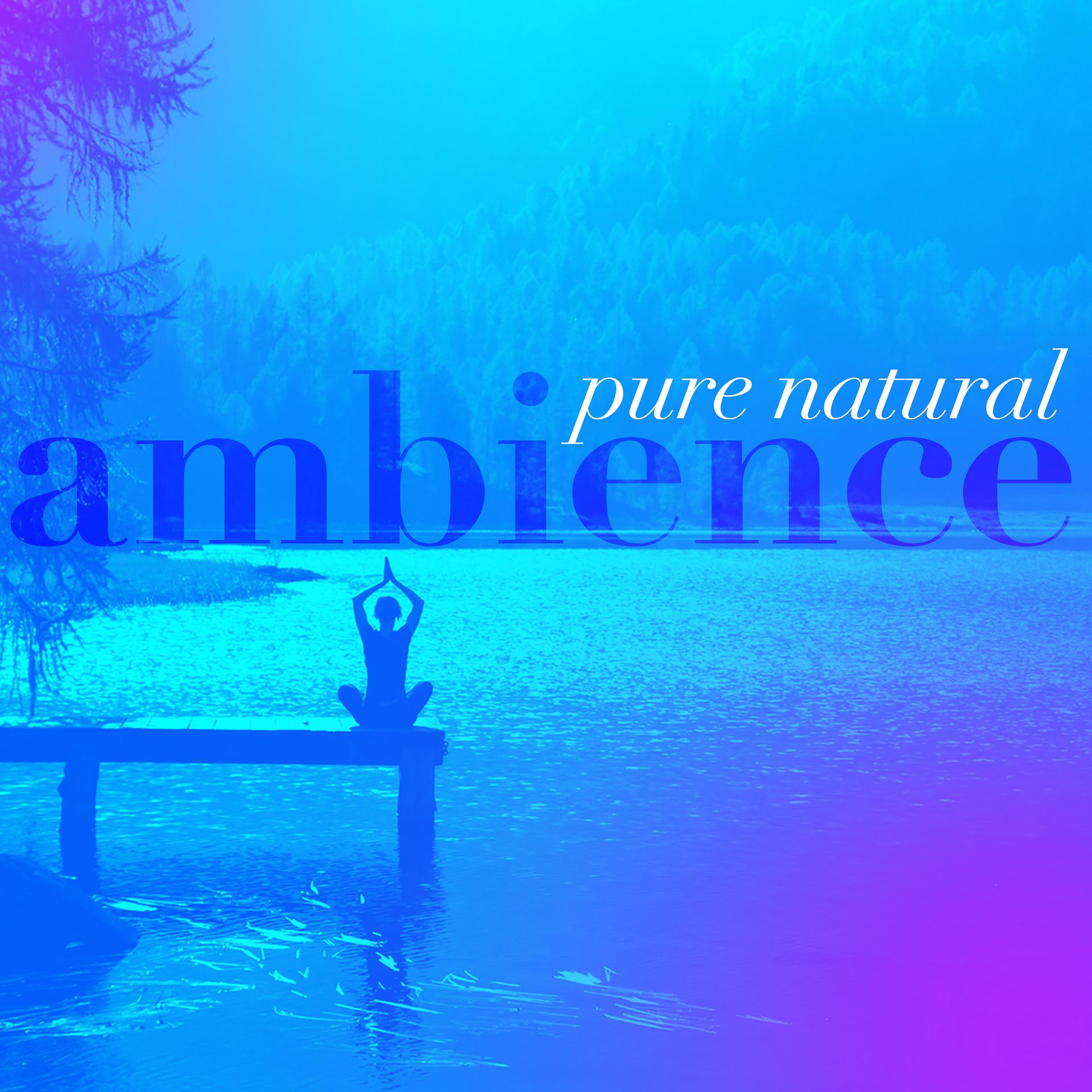 Постер альбома Pure Natural Ambience