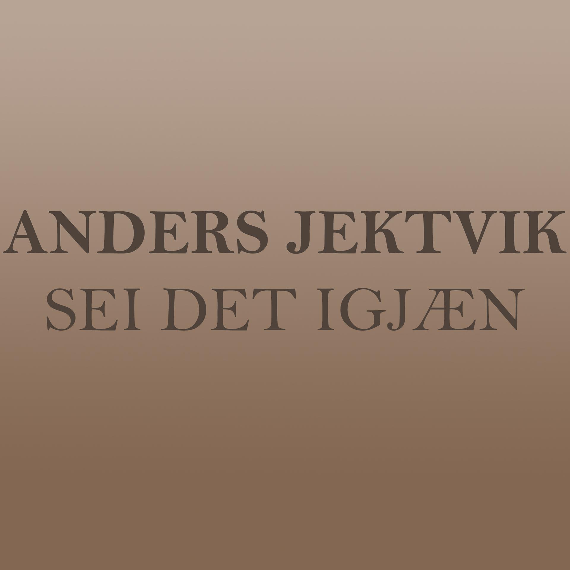 Постер альбома Sei det igjæn