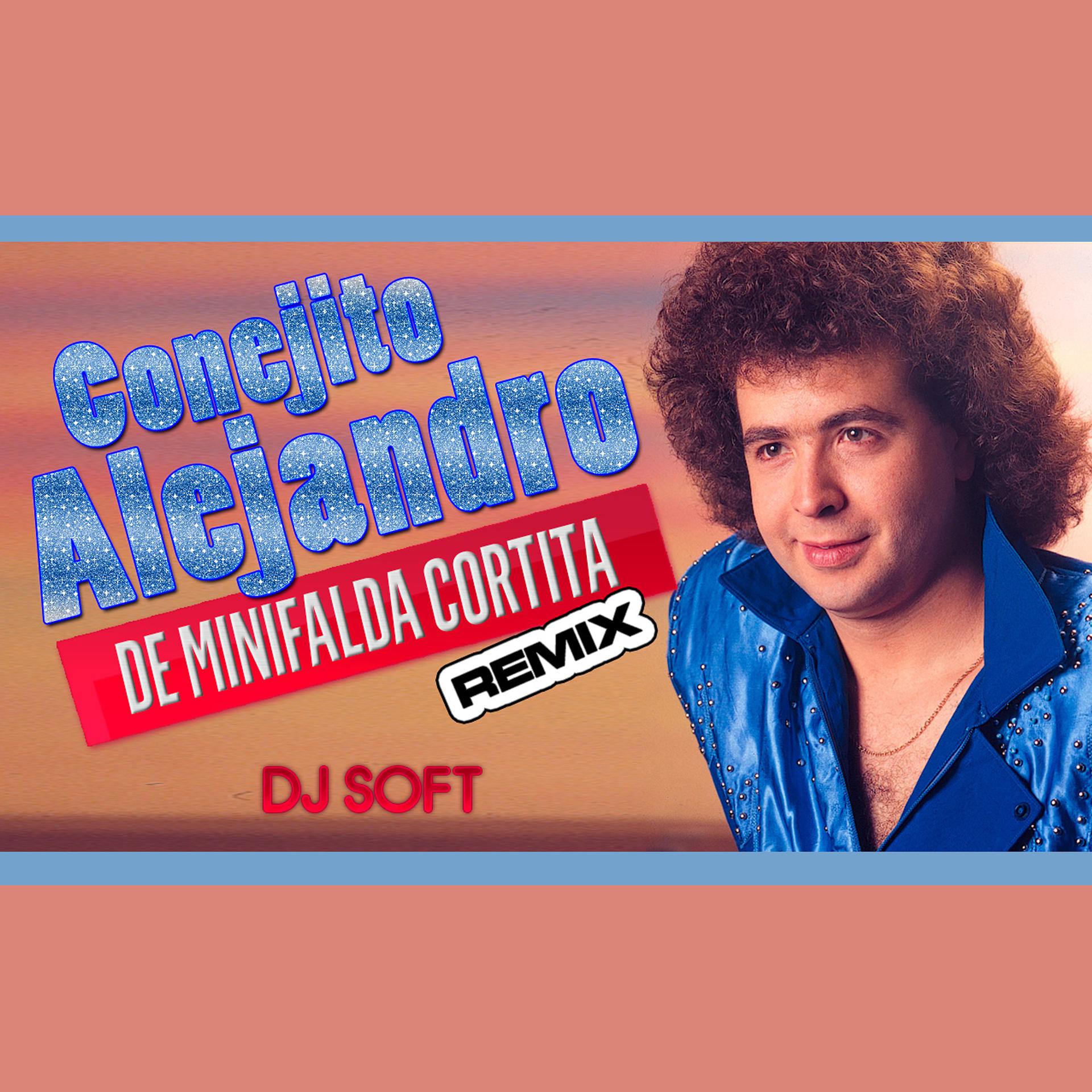 Постер альбома De Minifalda Cortita (Remix)