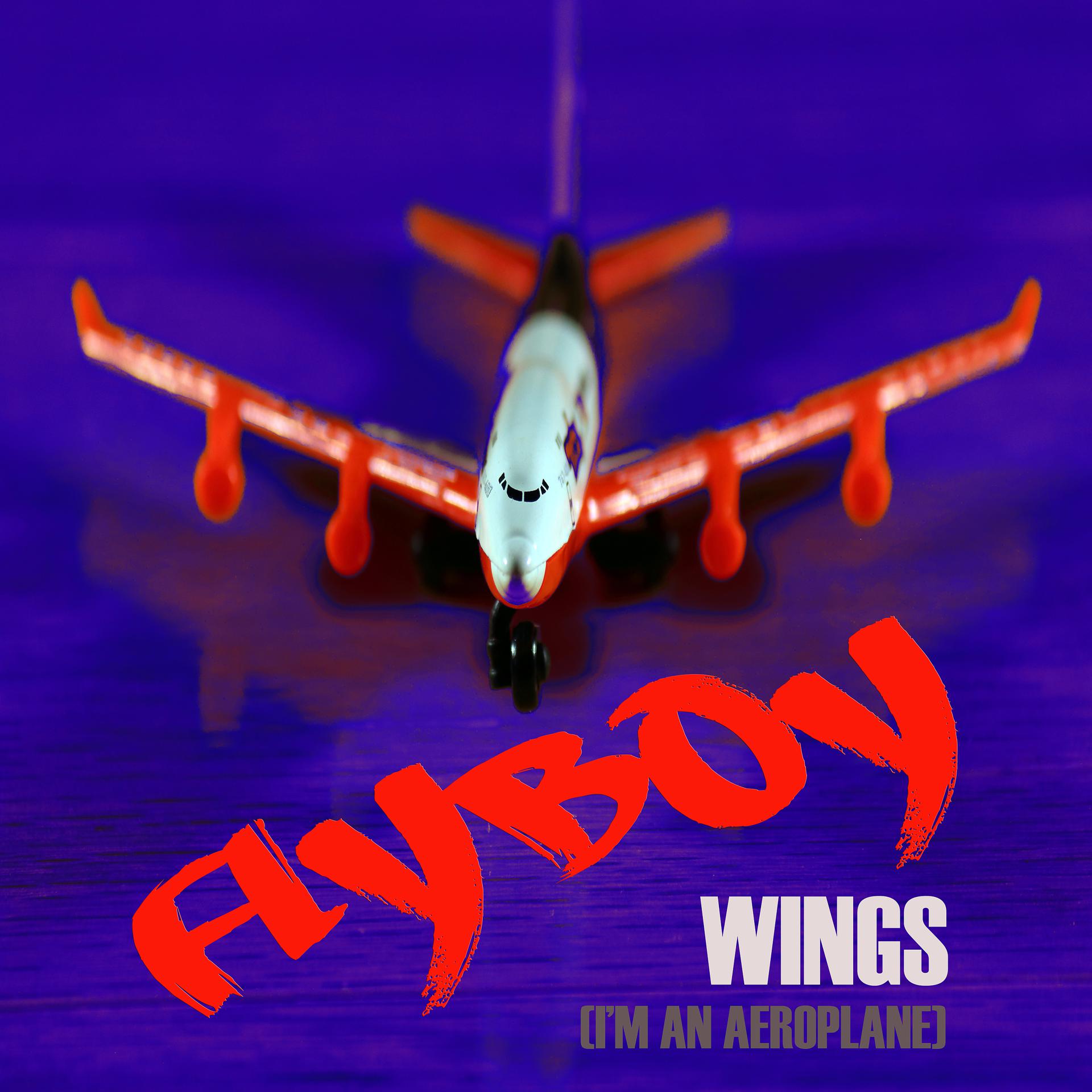 Постер альбома Wings (I'm an Aeroplane)