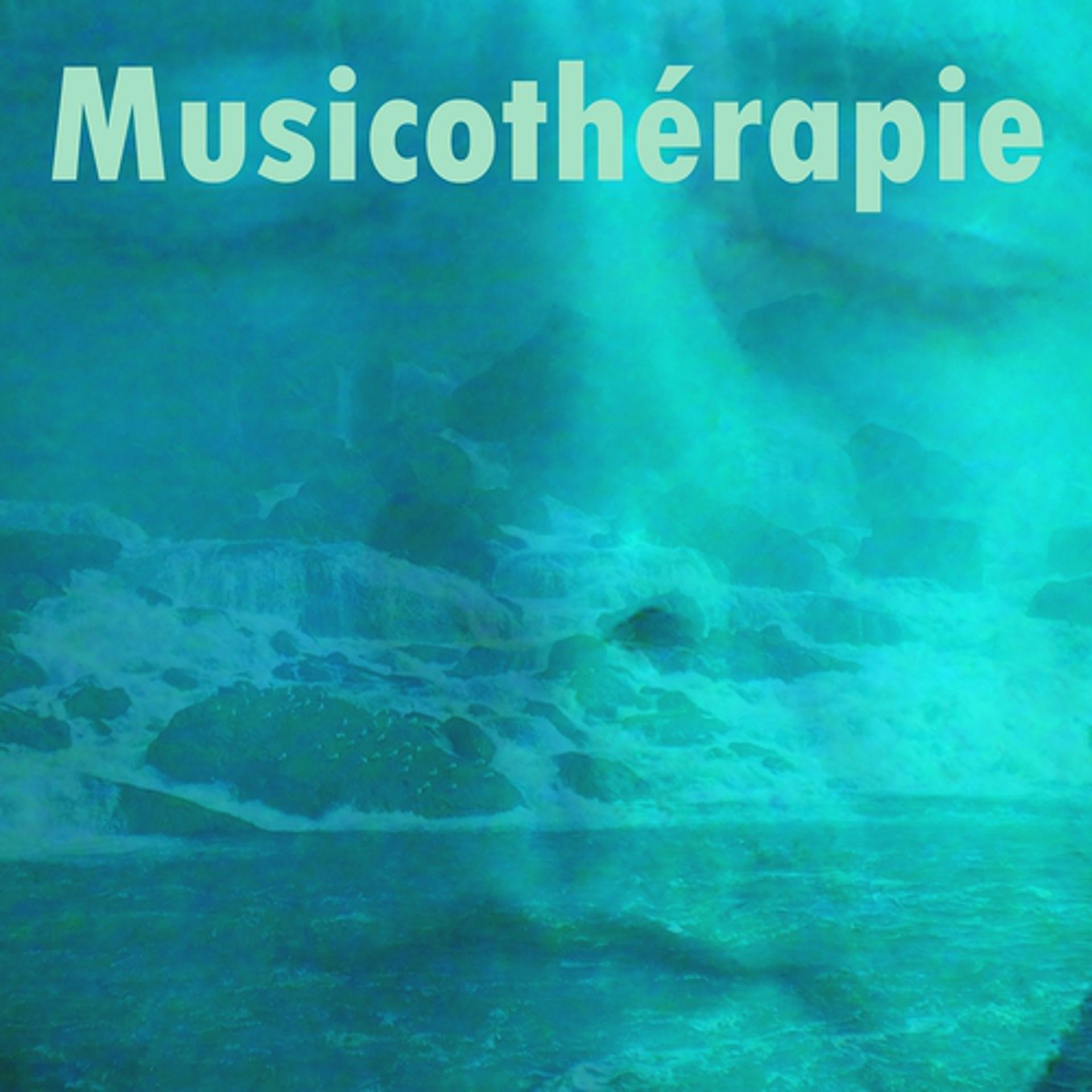 Постер альбома Musicothérapie