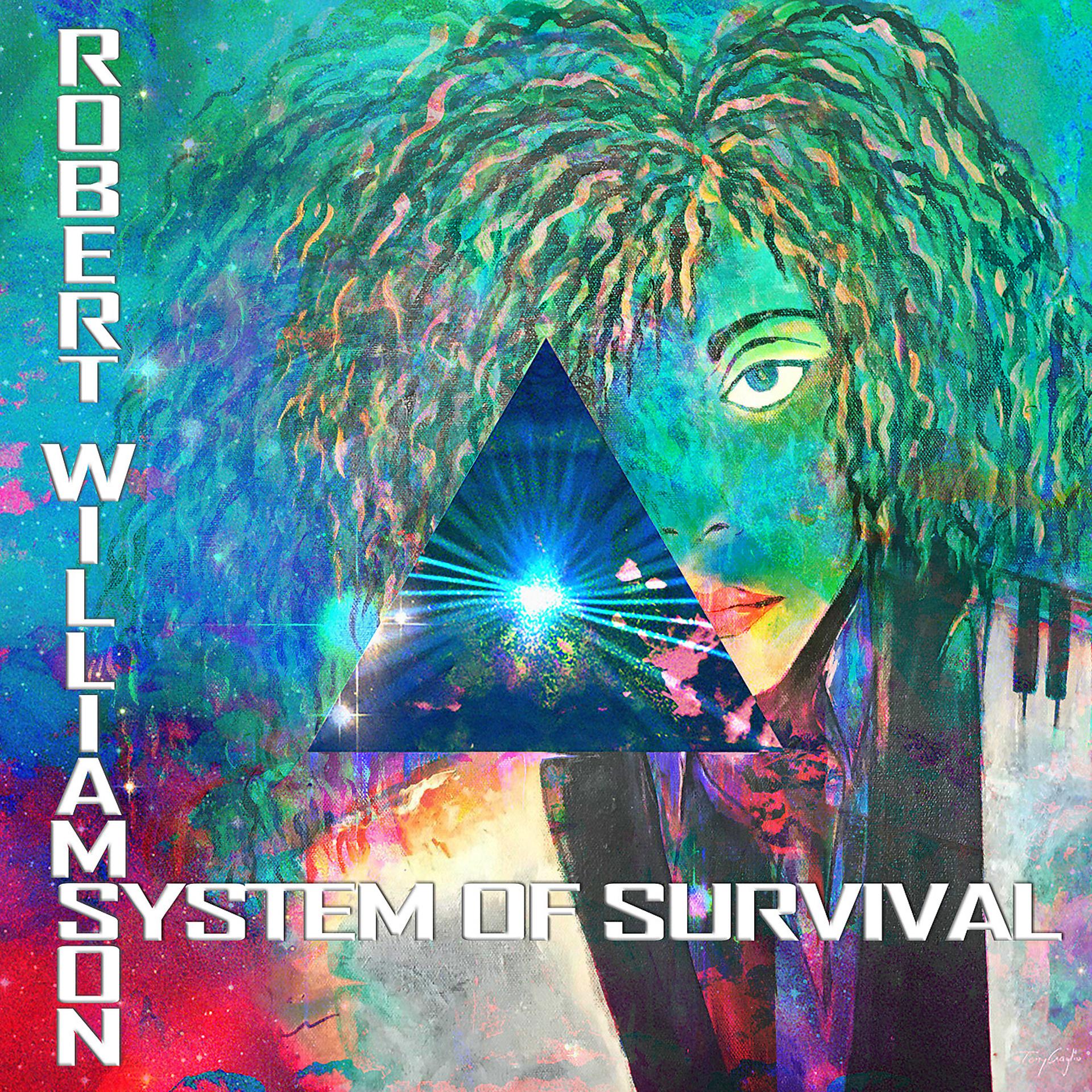 Постер альбома System of Survival (Remix)