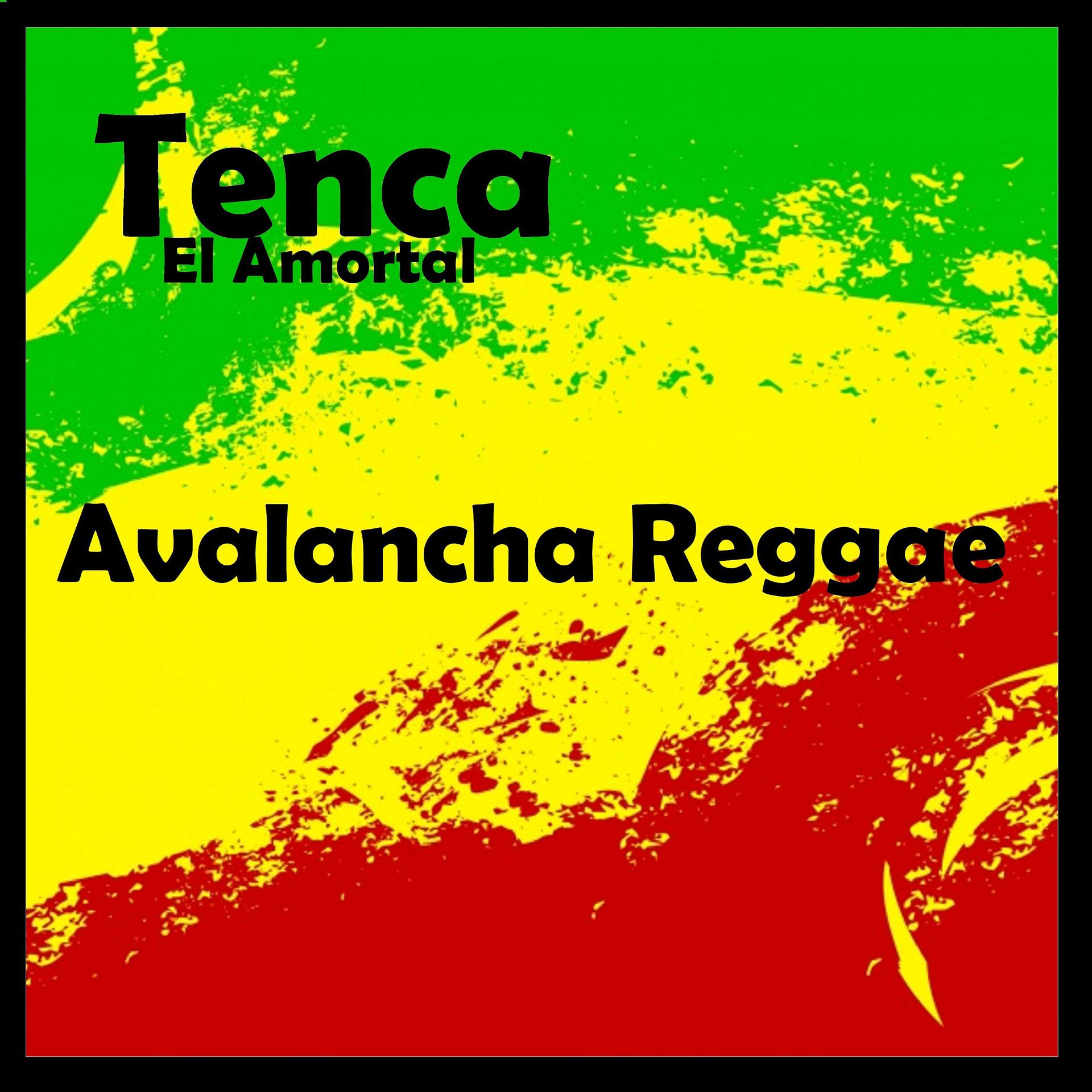 Постер альбома Avalancha Reggae