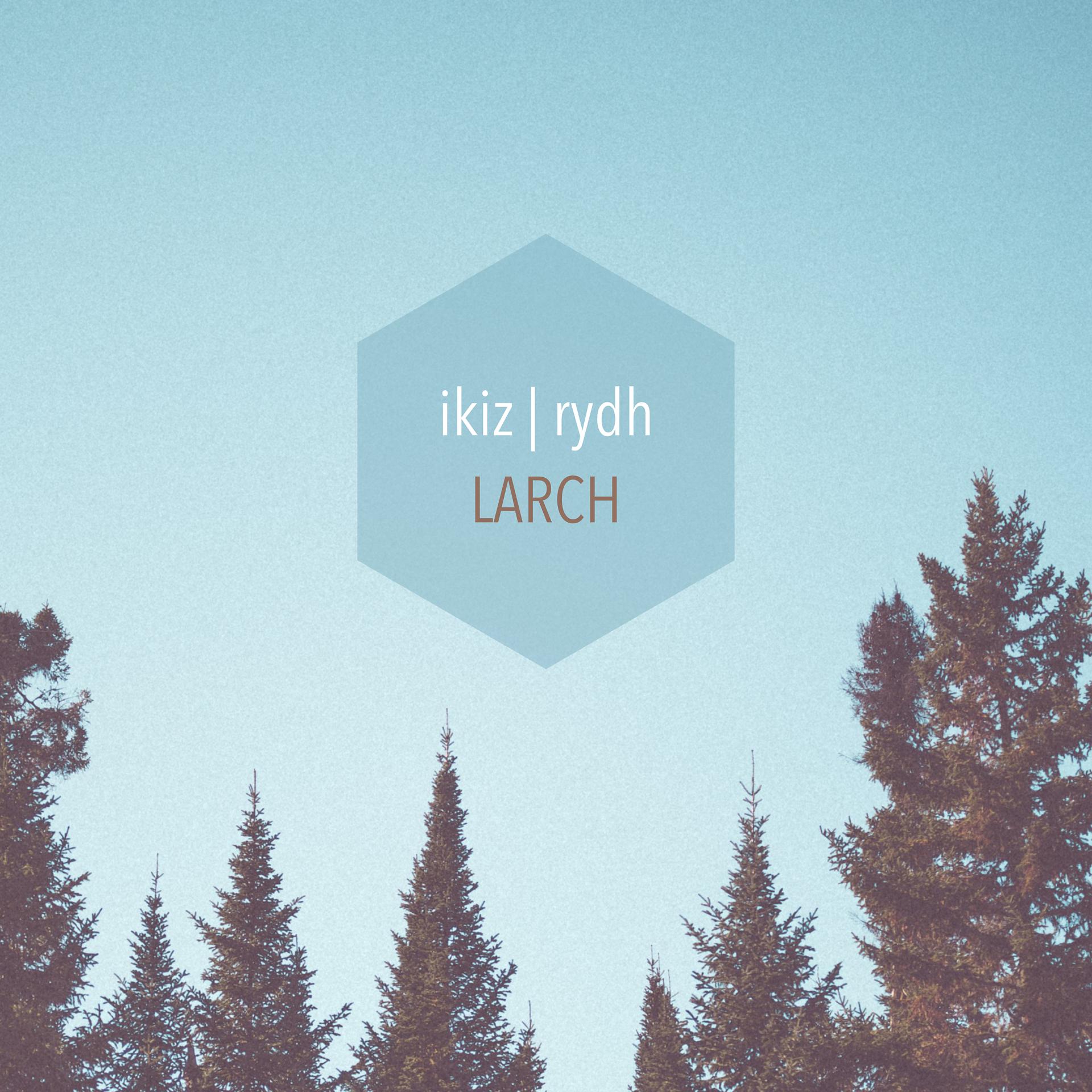 Постер альбома Larch