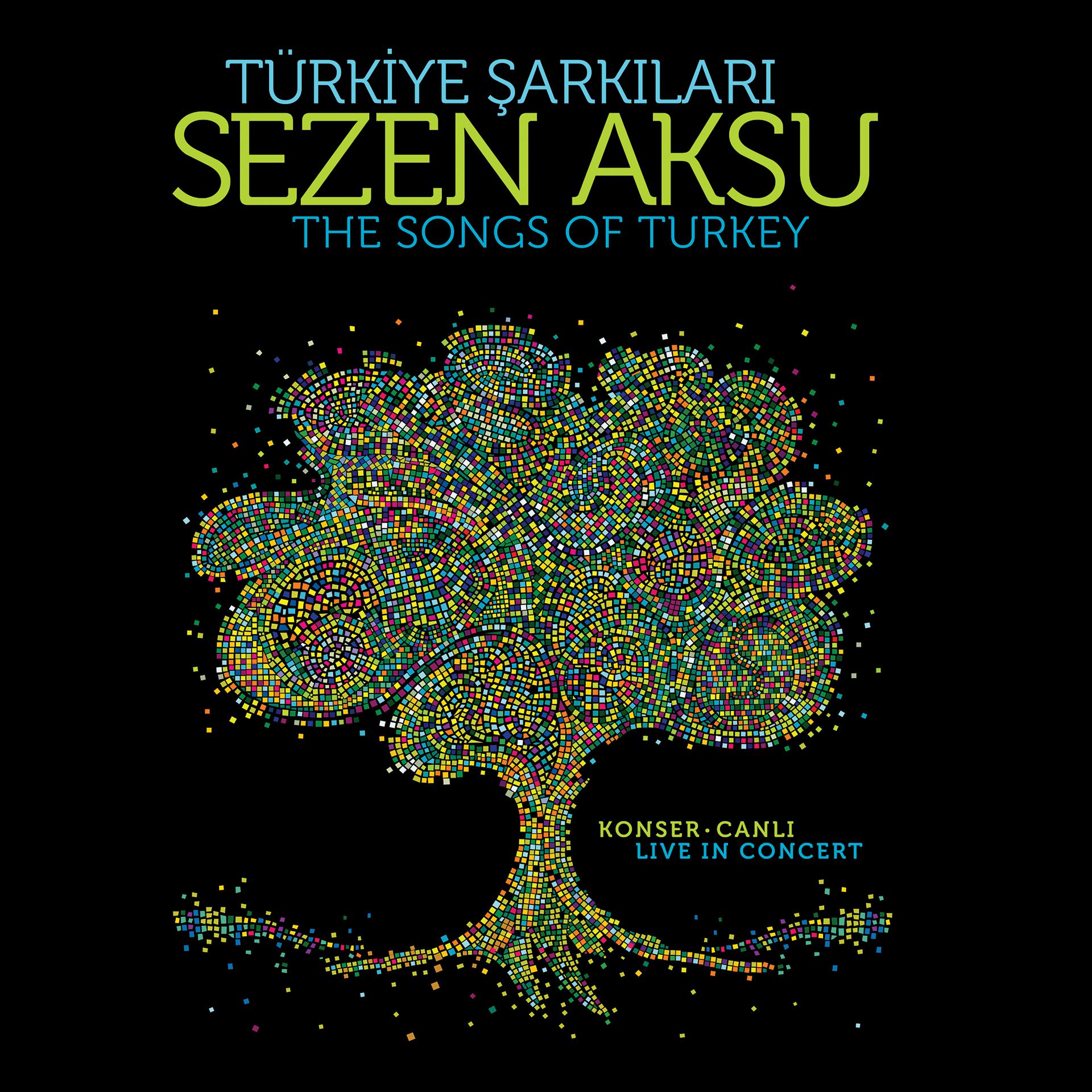 Постер альбома Türkiye Şarkıları (Canlı)