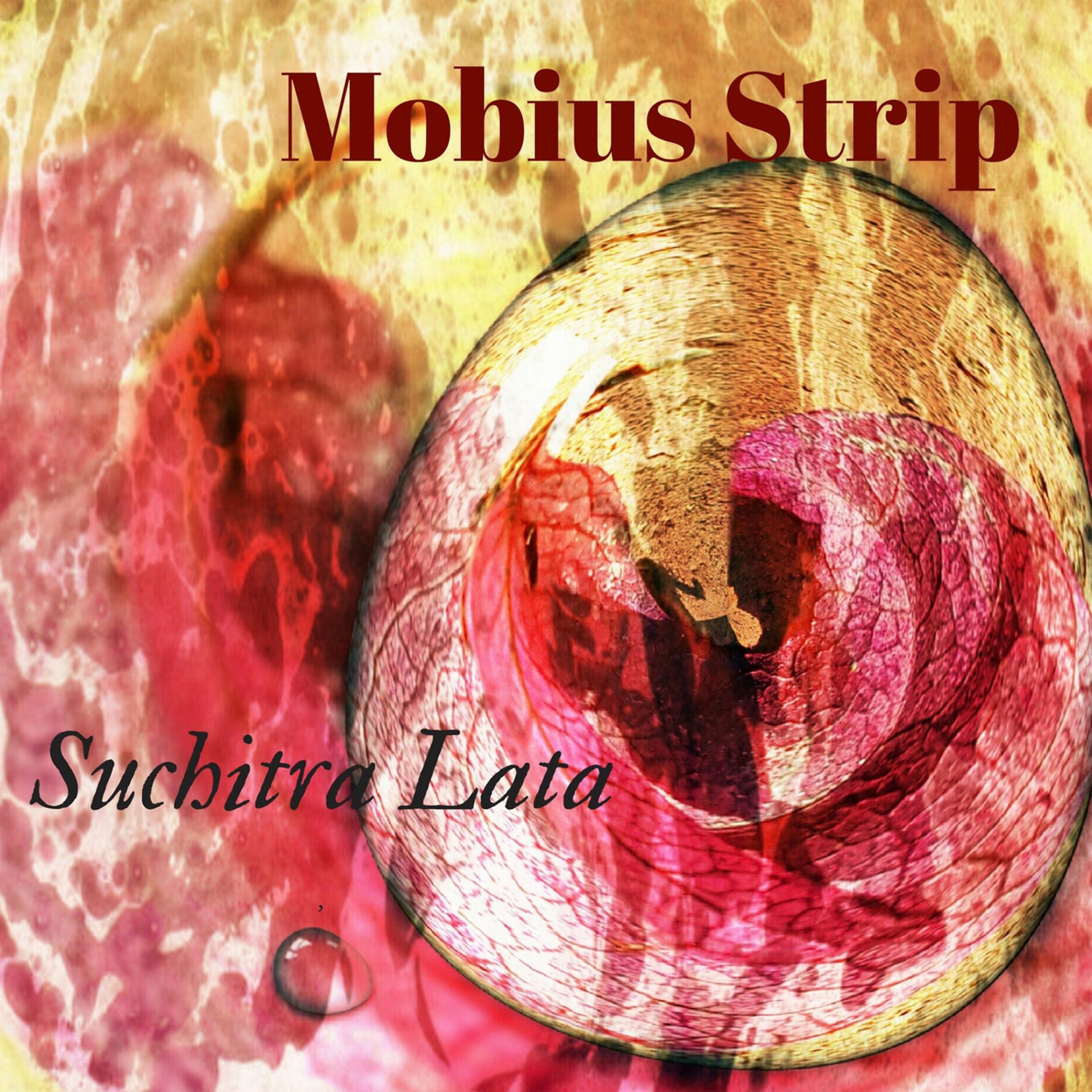 Постер альбома Mobius Strip