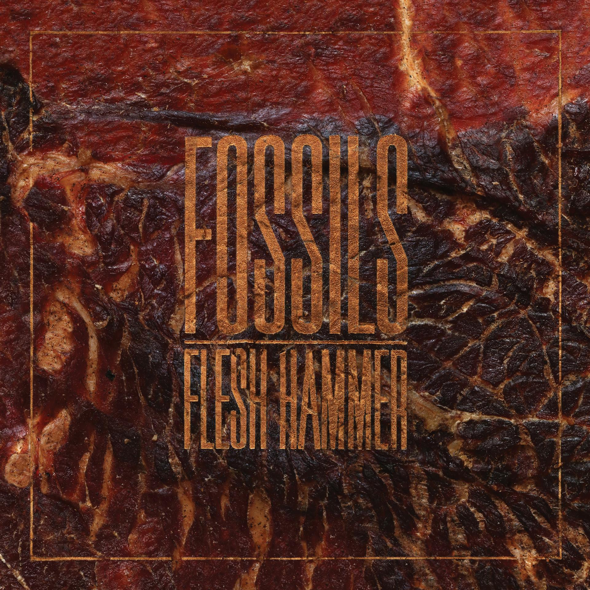 Постер альбома Flesh Hammer