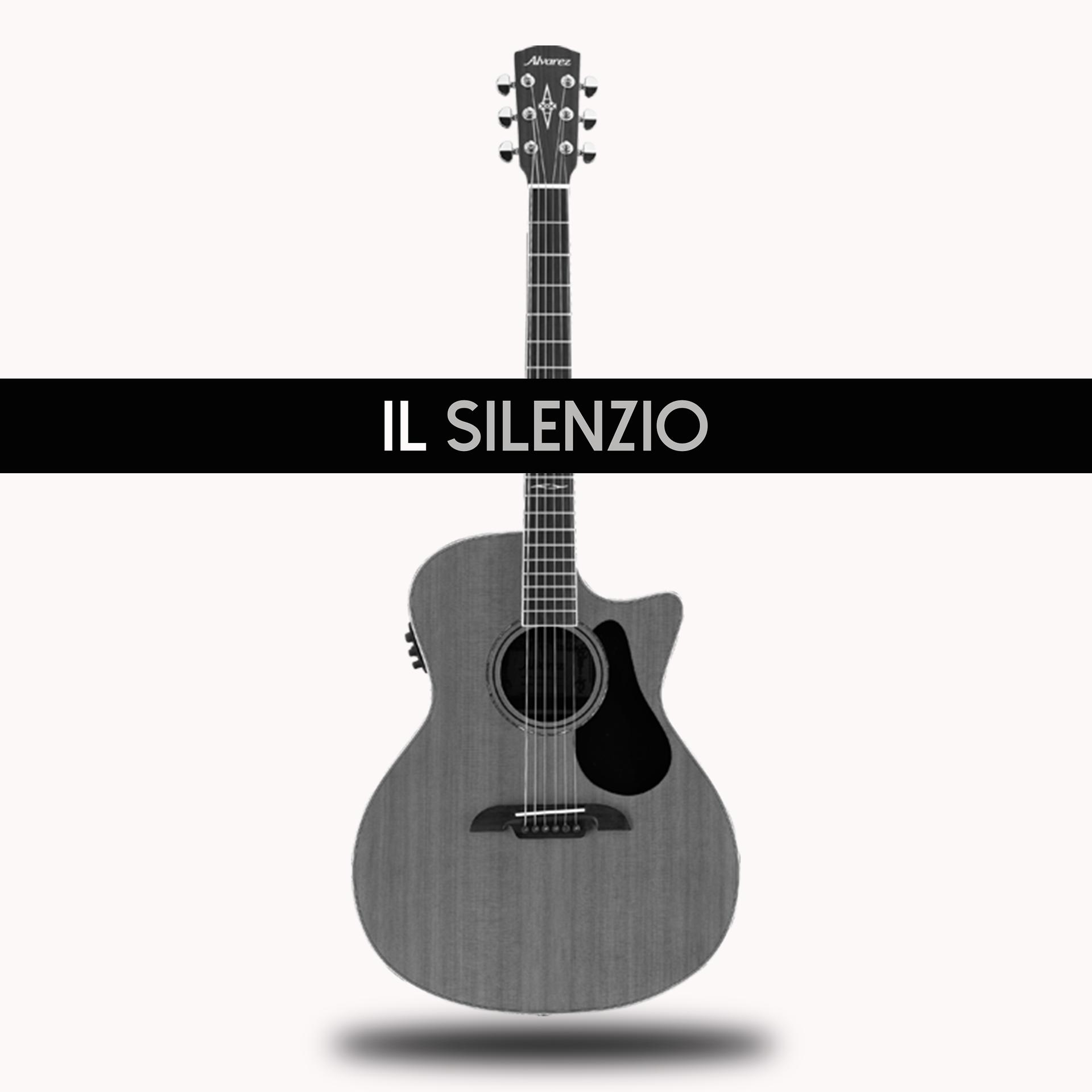 Постер альбома Il Silenzio