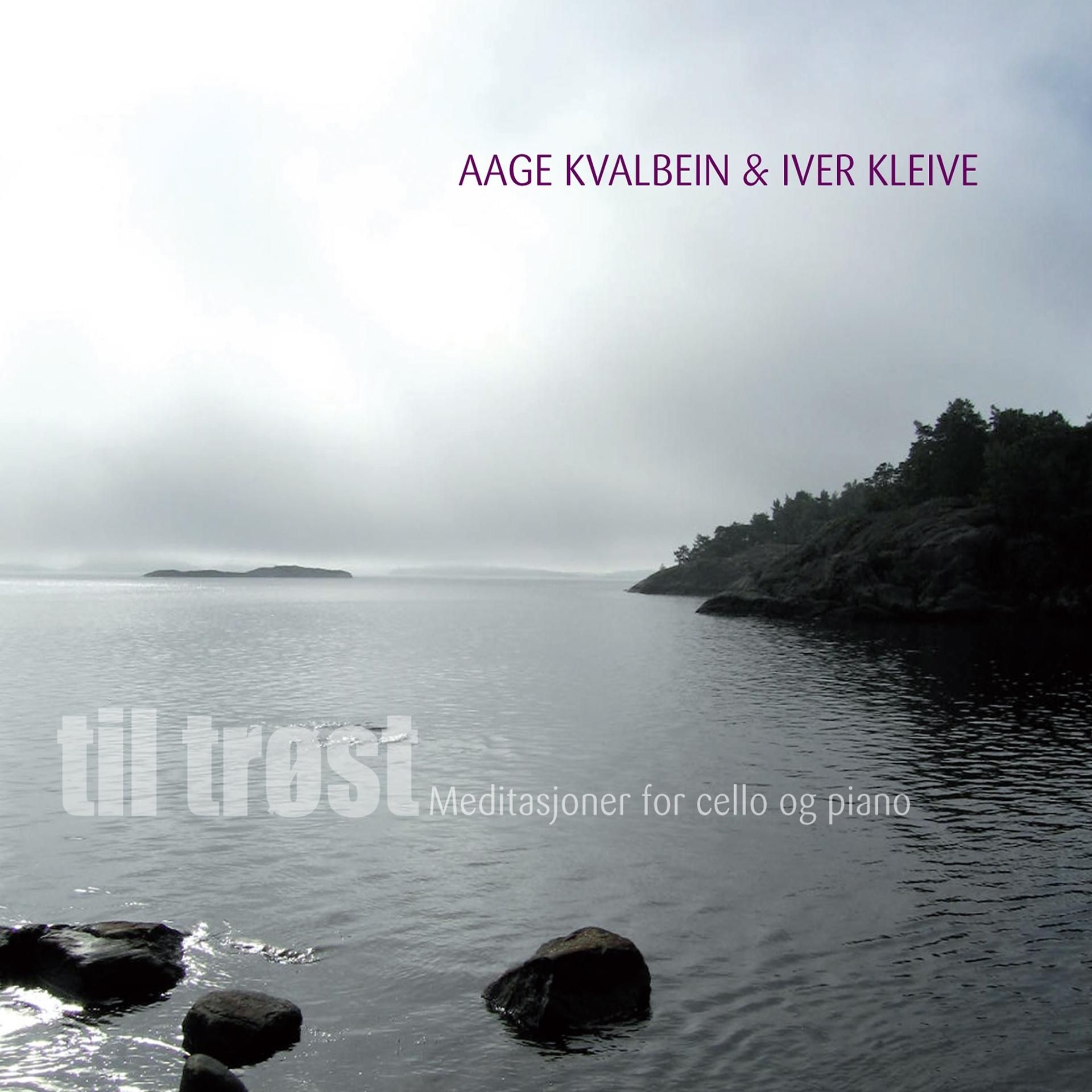Постер альбома Til Trøst