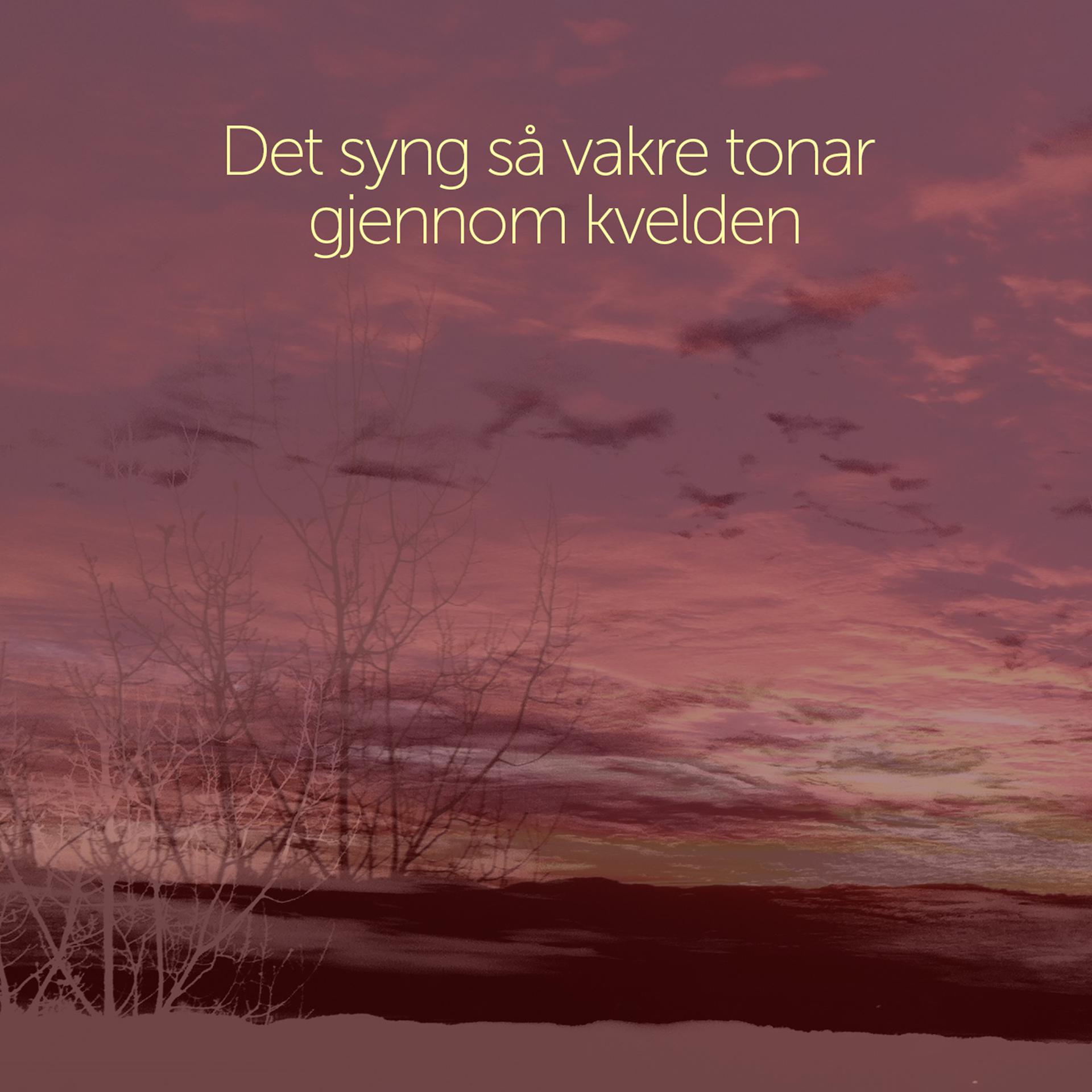 Постер альбома Det syng så vakre tonar gjennom kvelden