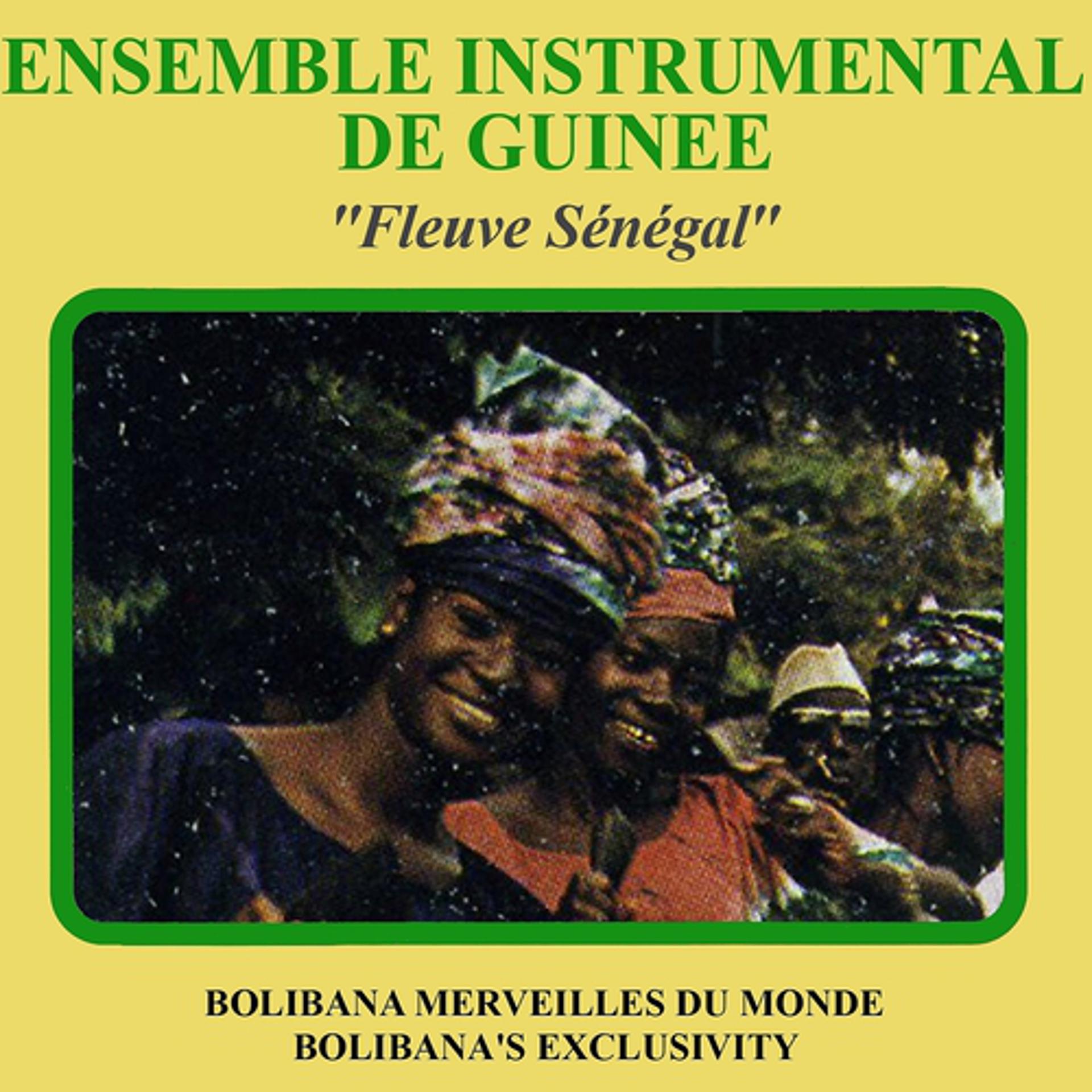 Постер альбома Fleuve Sénégal