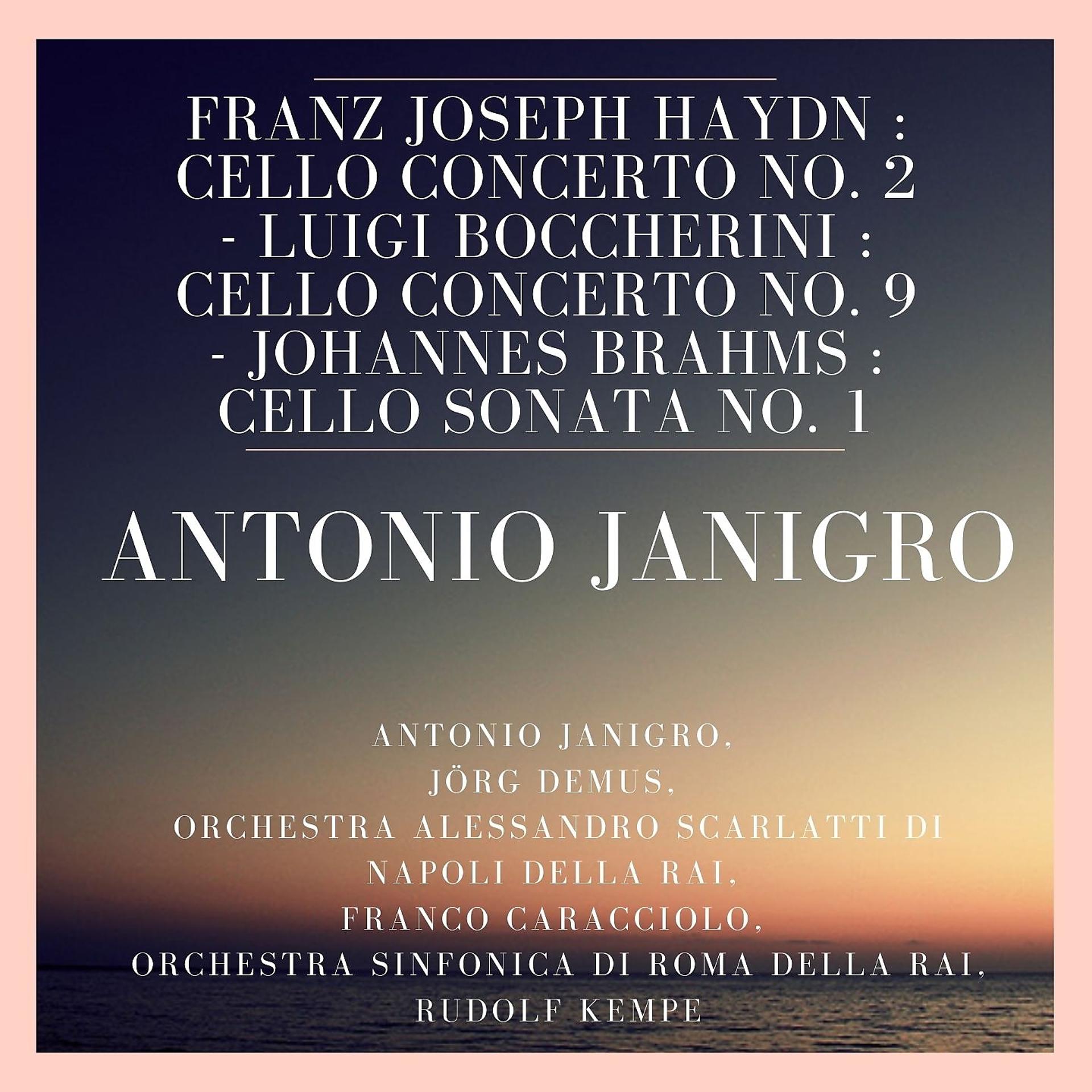 Постер альбома Franz Joseph Haydn : Cello Concerto No. 2 - Luigi Boccherini : Cello Concerto No. 9 - Johannes Brahms : Cello Sonata No. 1