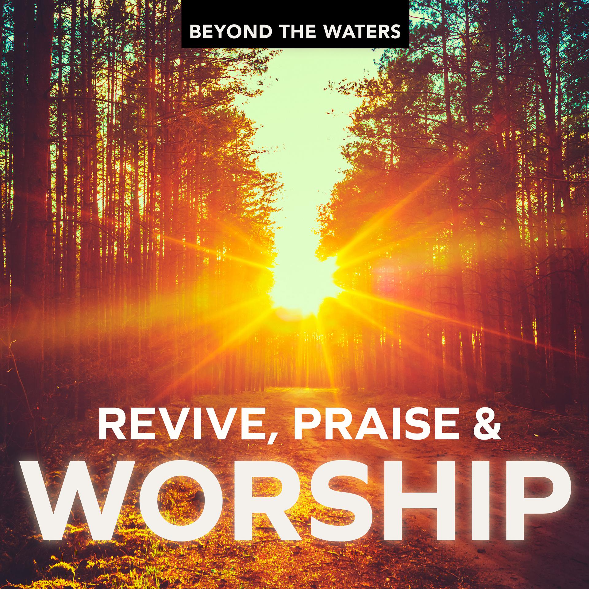 Постер альбома Revive, Praise and Worship