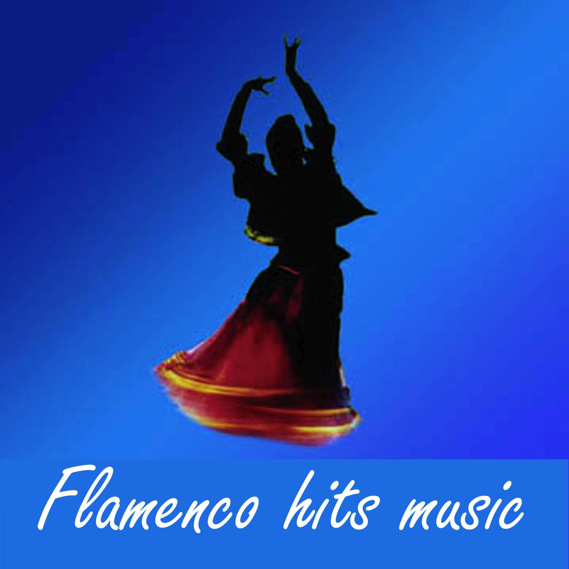 Постер альбома Flamenco hits music