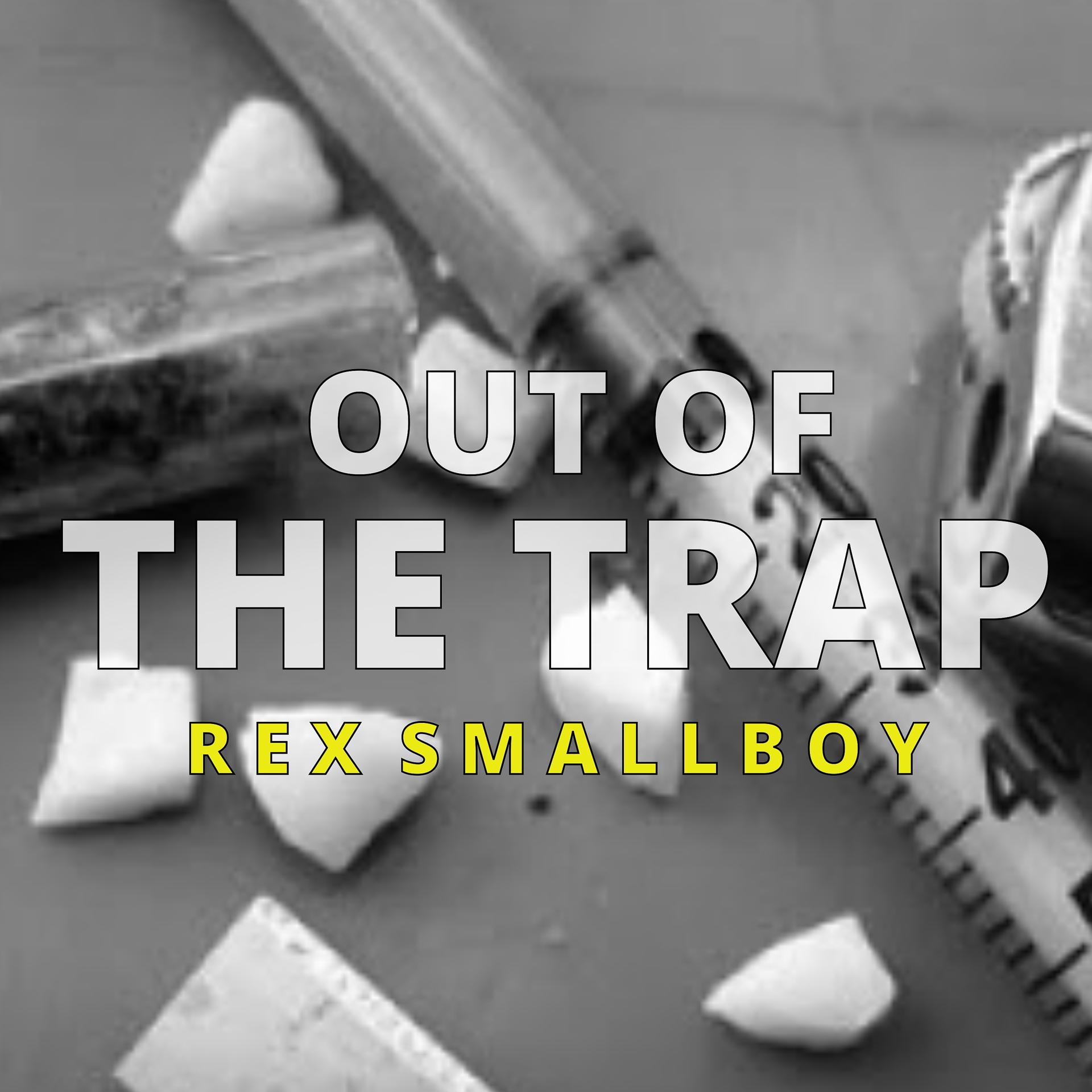 Постер альбома Out of the Trap