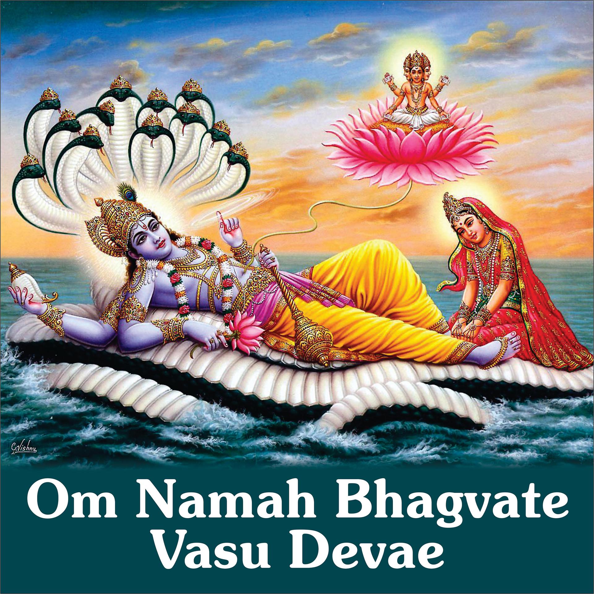 Постер альбома Om Namah Bhagvate Vasu Devae