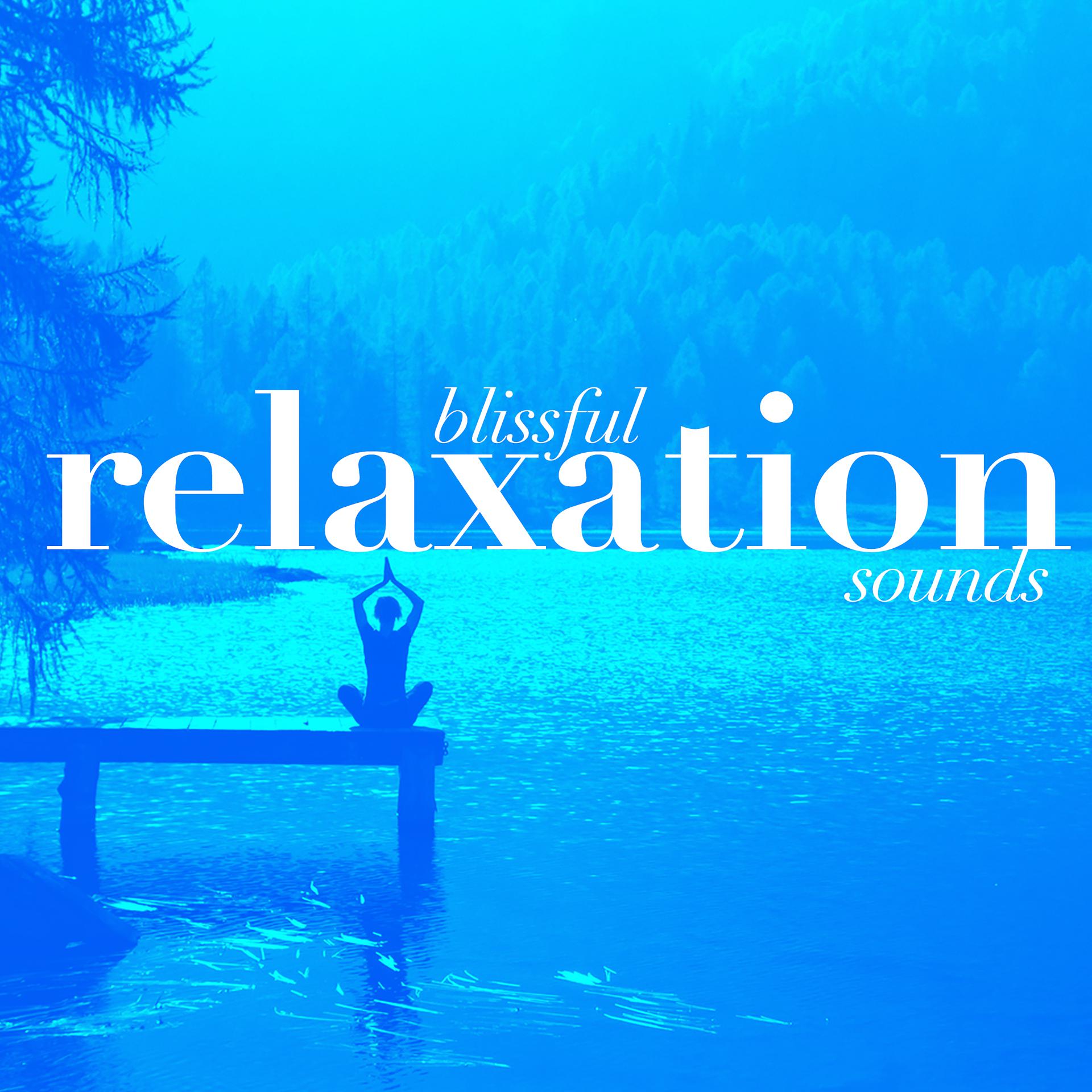 Постер альбома Blissful Relaxation Sounds