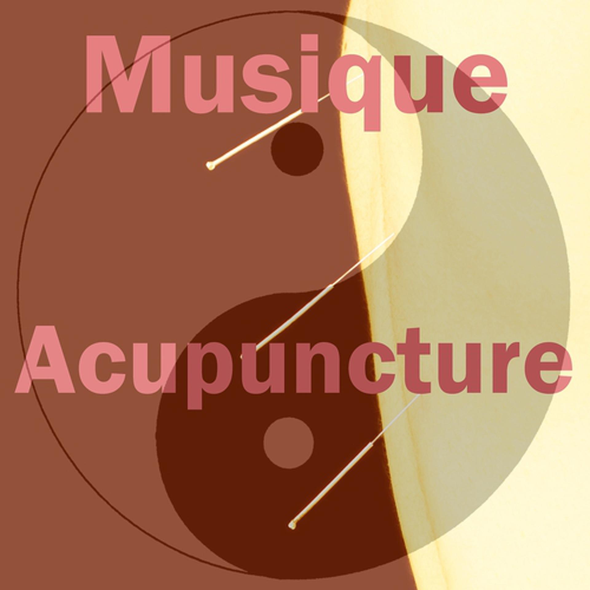 Постер альбома Musique acupuncture