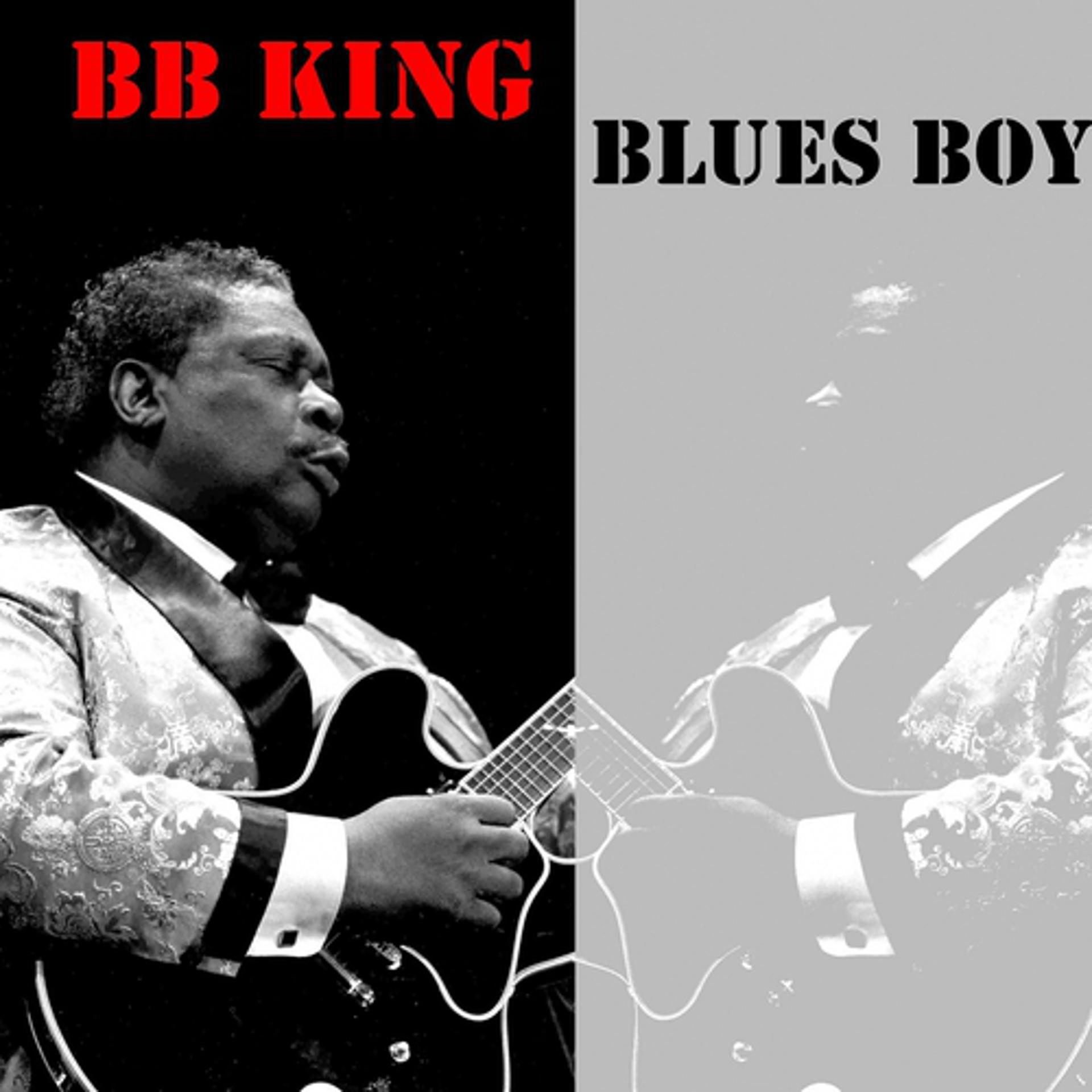 Постер альбома Blues Boy