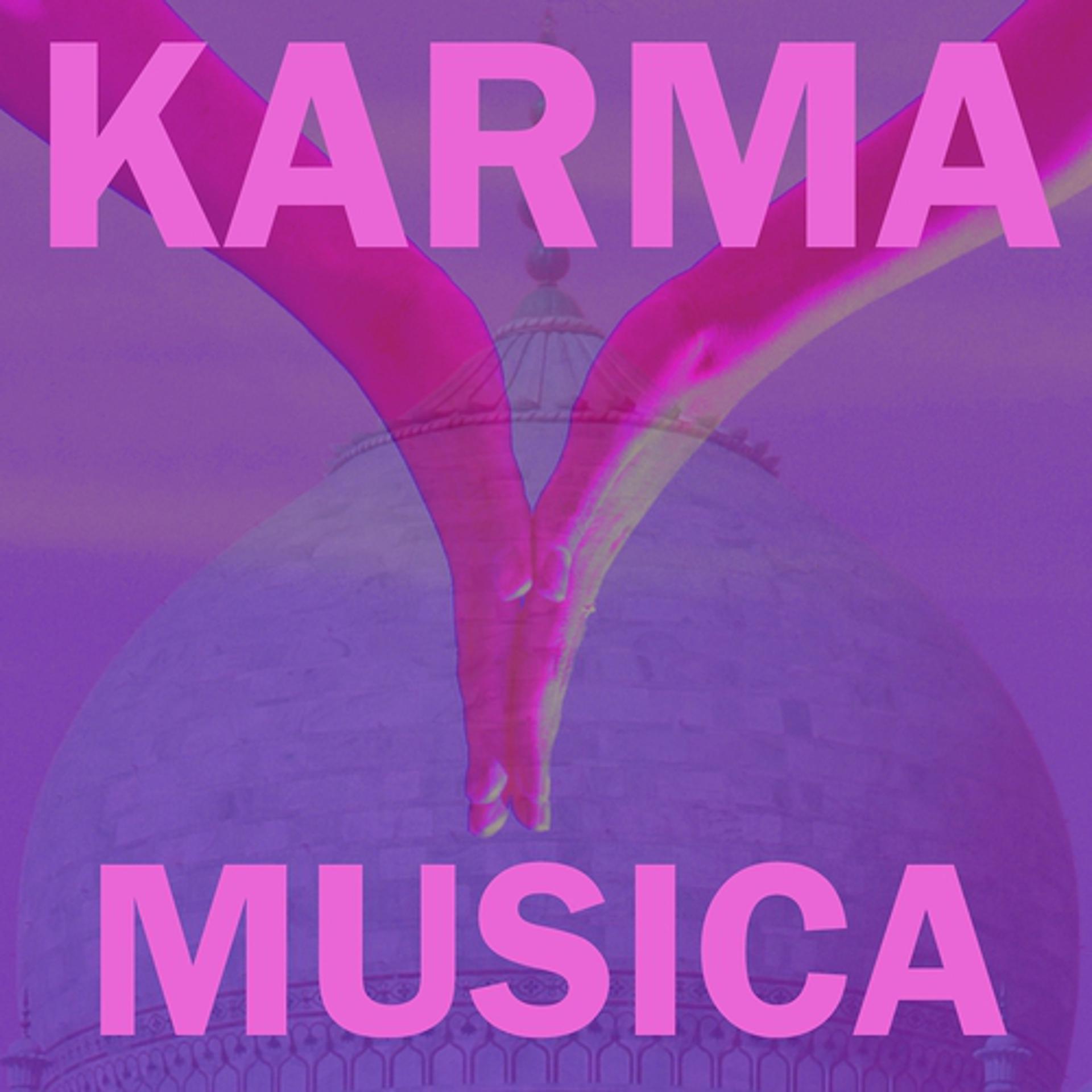 Постер альбома Karma musica