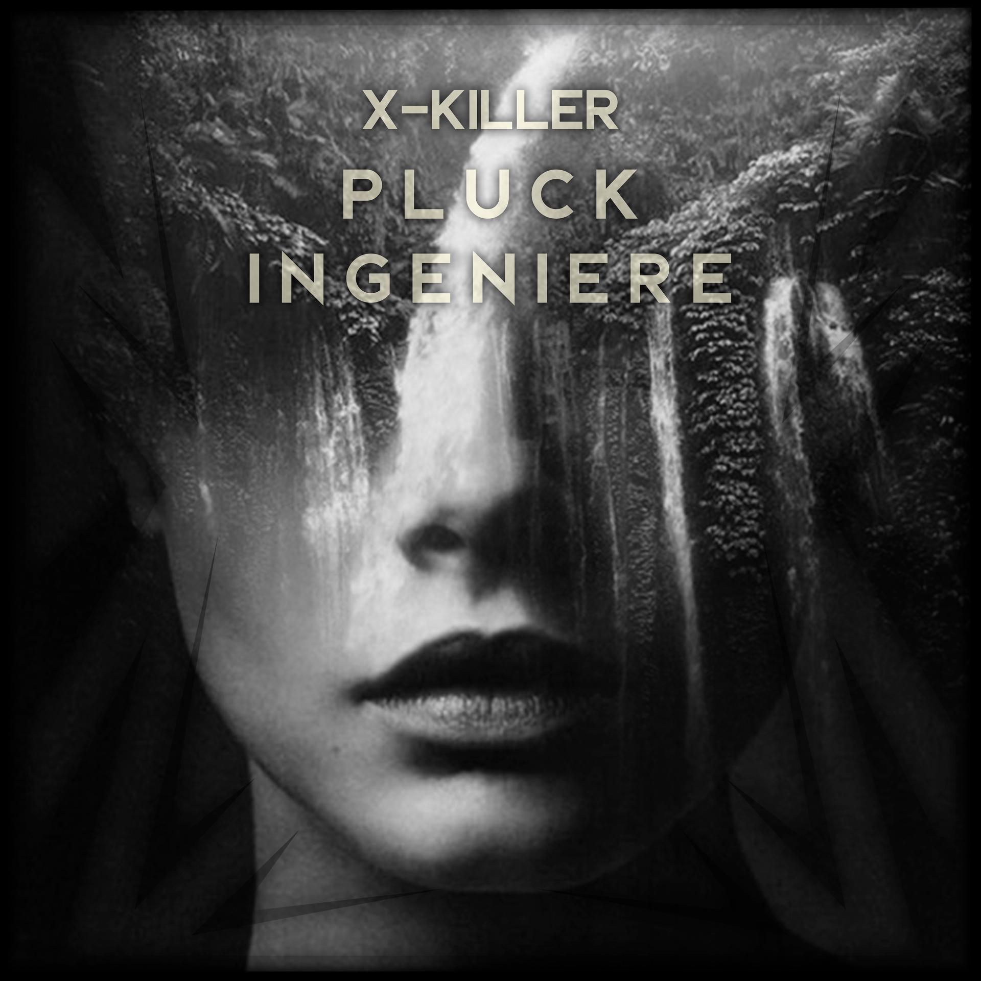 Постер альбома Pluck Ingeniere