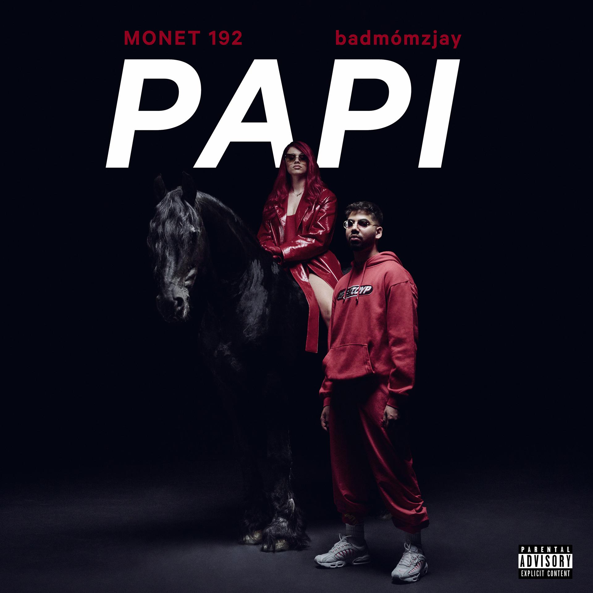Постер альбома Papi (feat. badmómzjay)