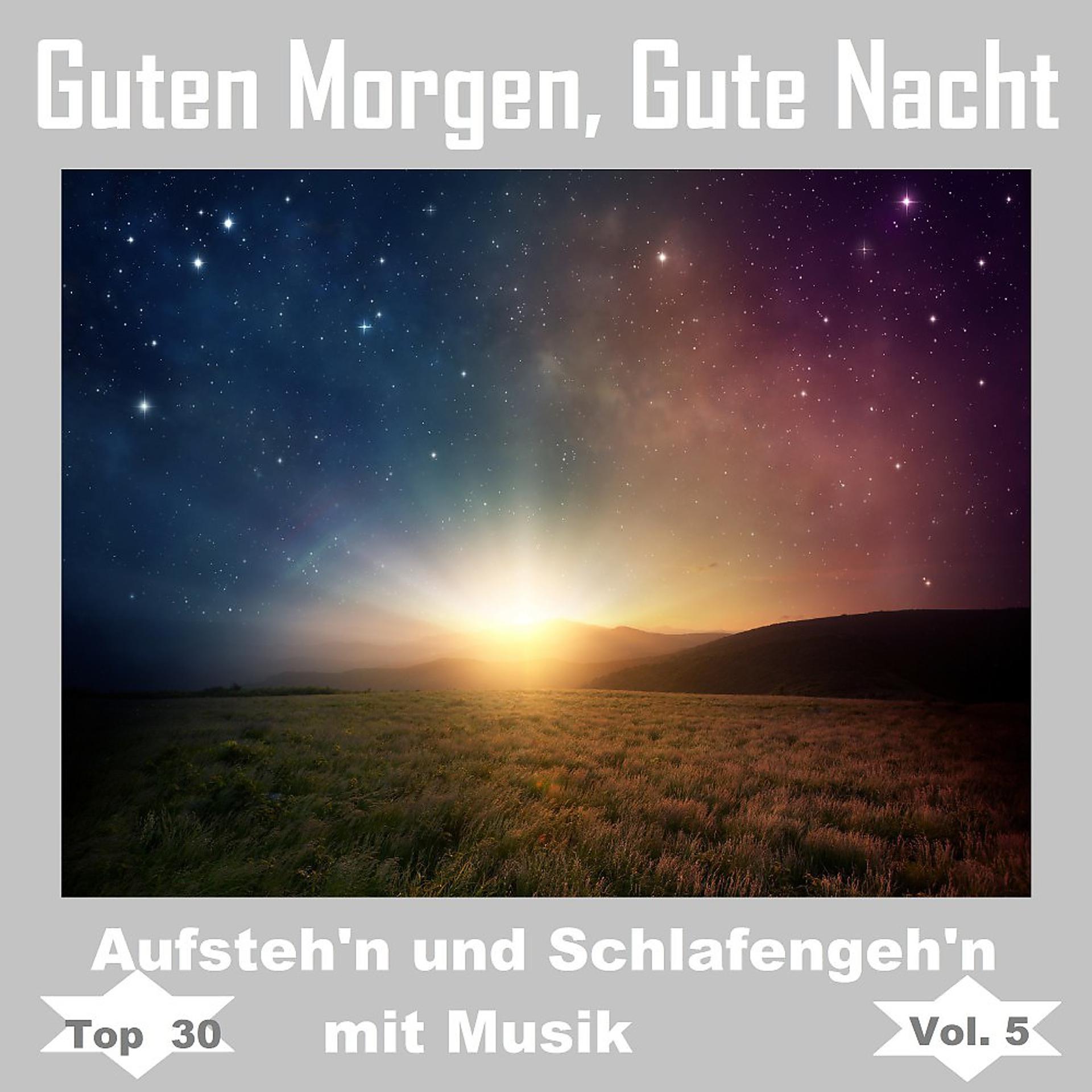 Постер альбома Top 30: Guten Morgen, gute Nacht - Aufsteh'n und schlafengeh'n mit Musik, Vol. 5
