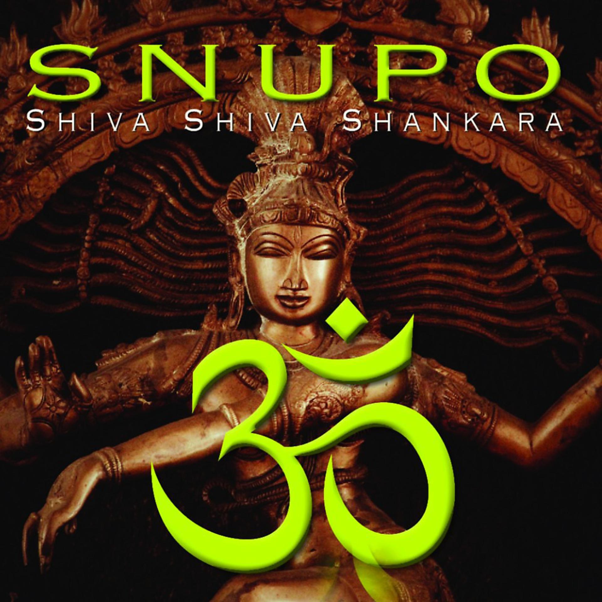 Постер альбома Shiva Shiva Shankara