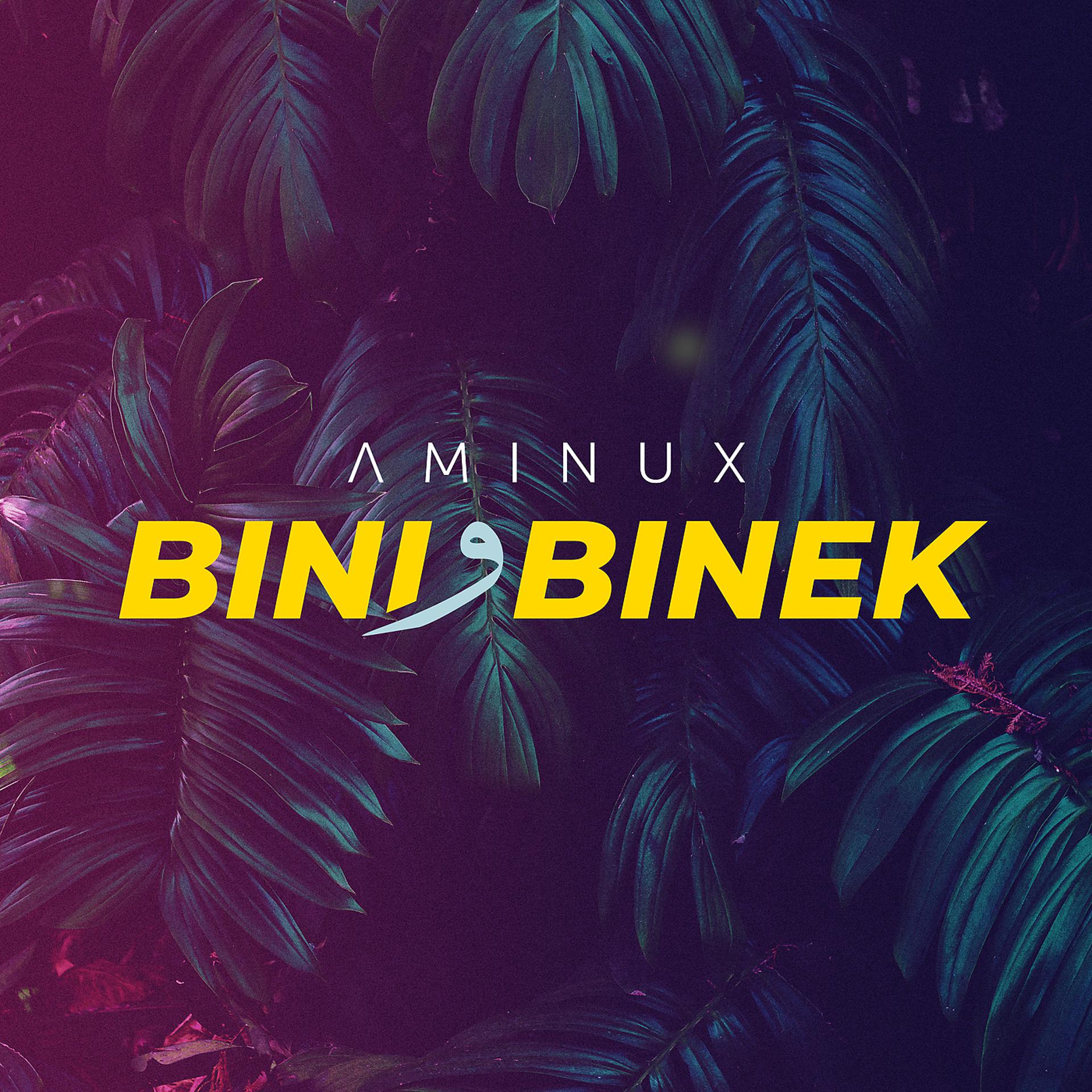Постер к треку AMINUX - Bini W Binek