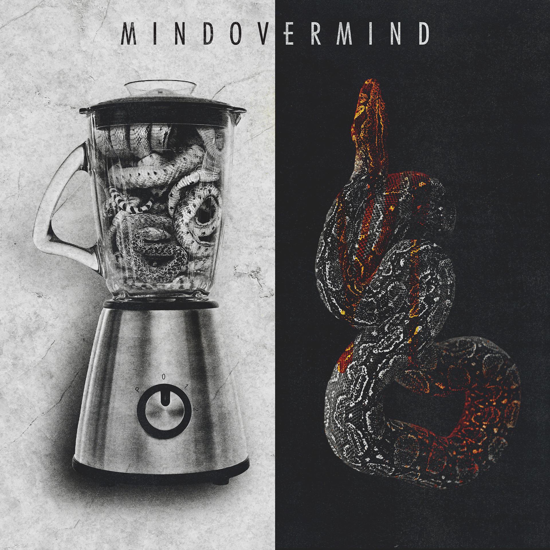 Постер альбома [Mind Over Mind]