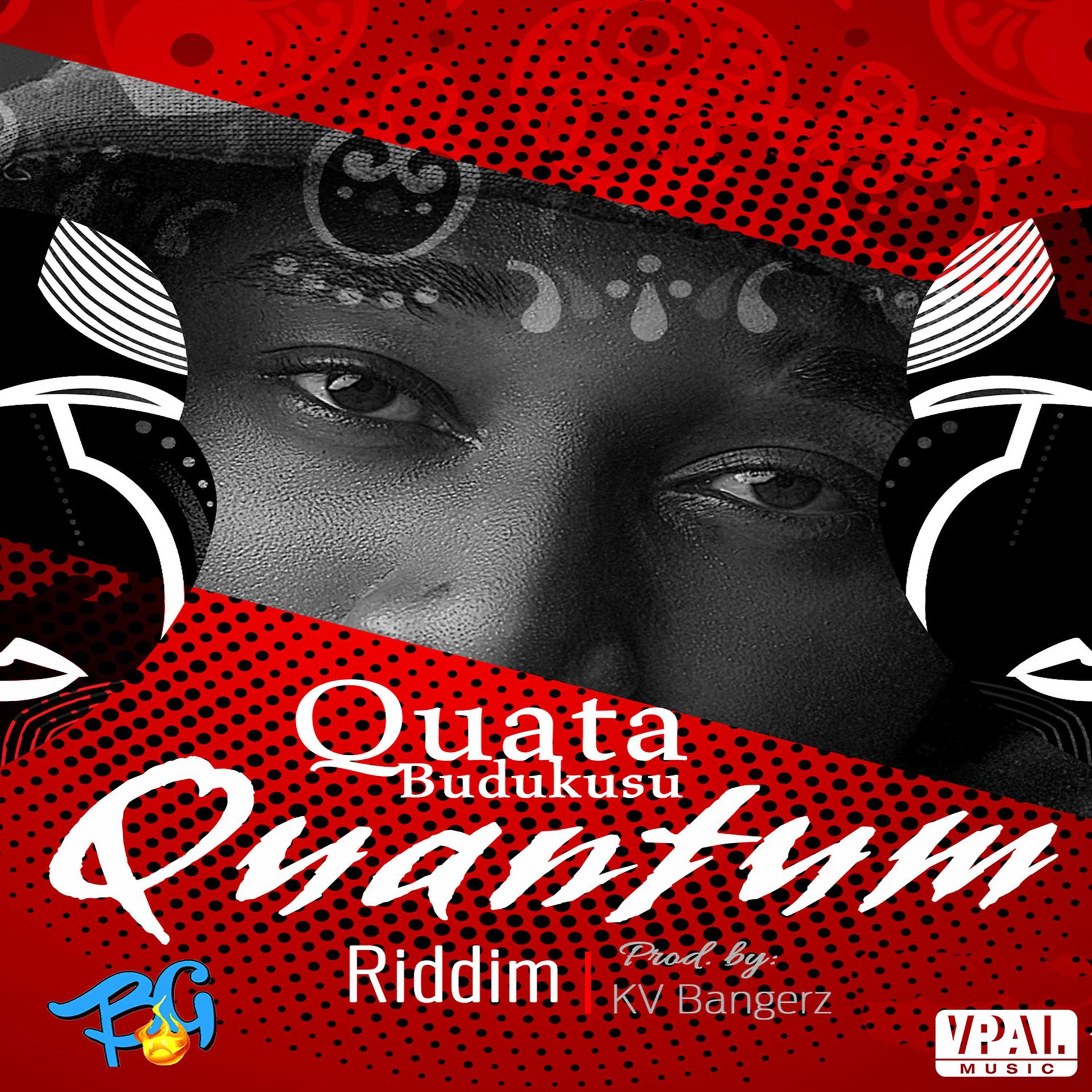 Постер альбома Quantum Riddim