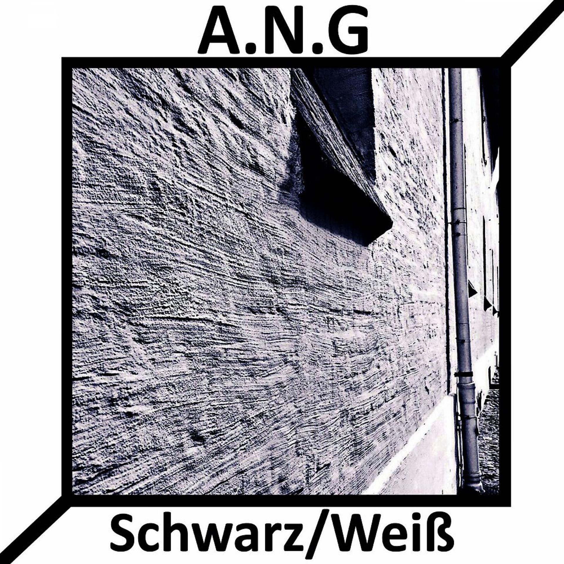 Постер альбома Schwarz / Weiß