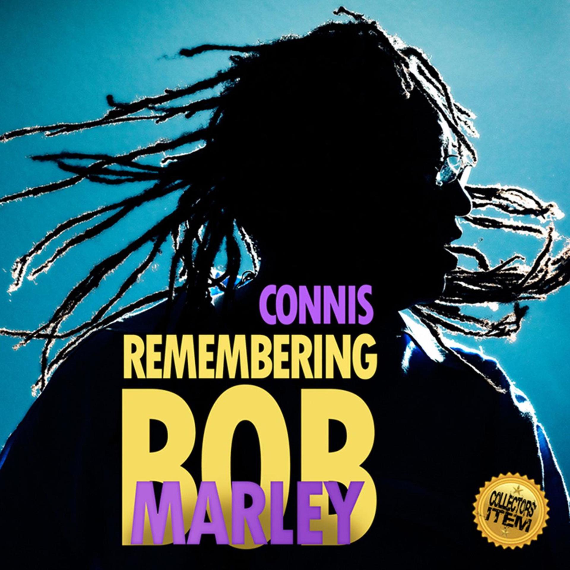 Постер альбома Remembering Bob Marley