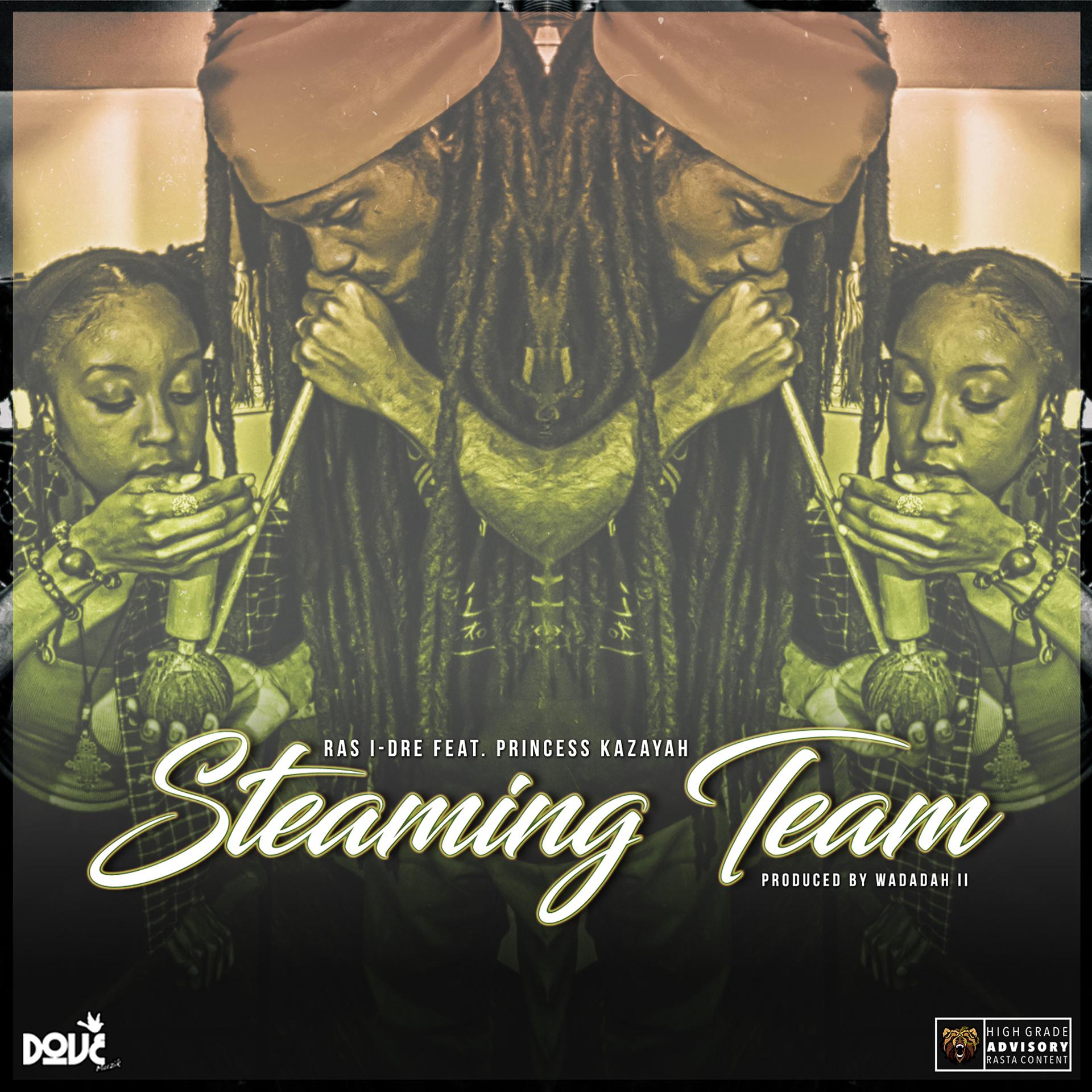 Постер альбома Steaming Team