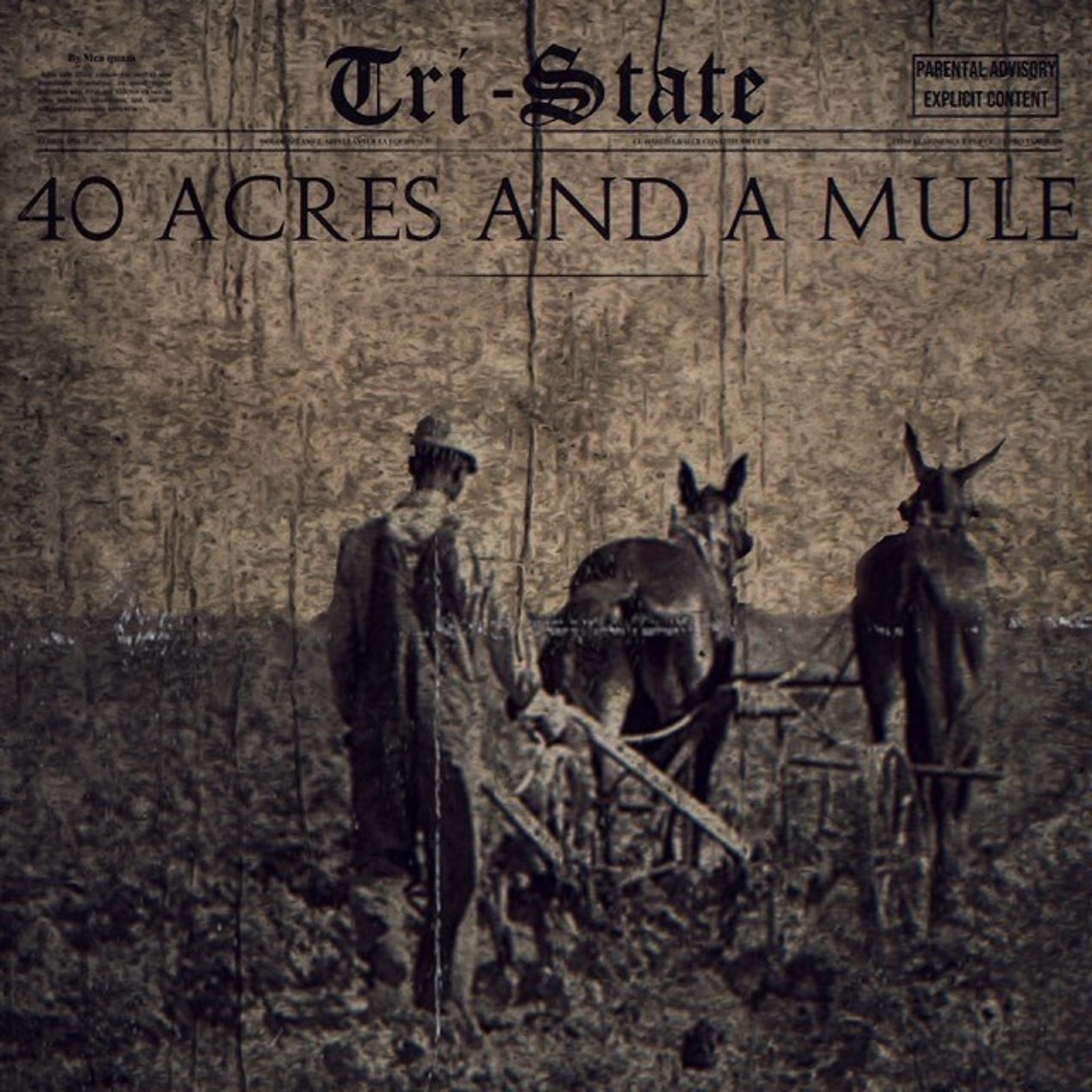 Постер альбома 40 Acres and a Mule